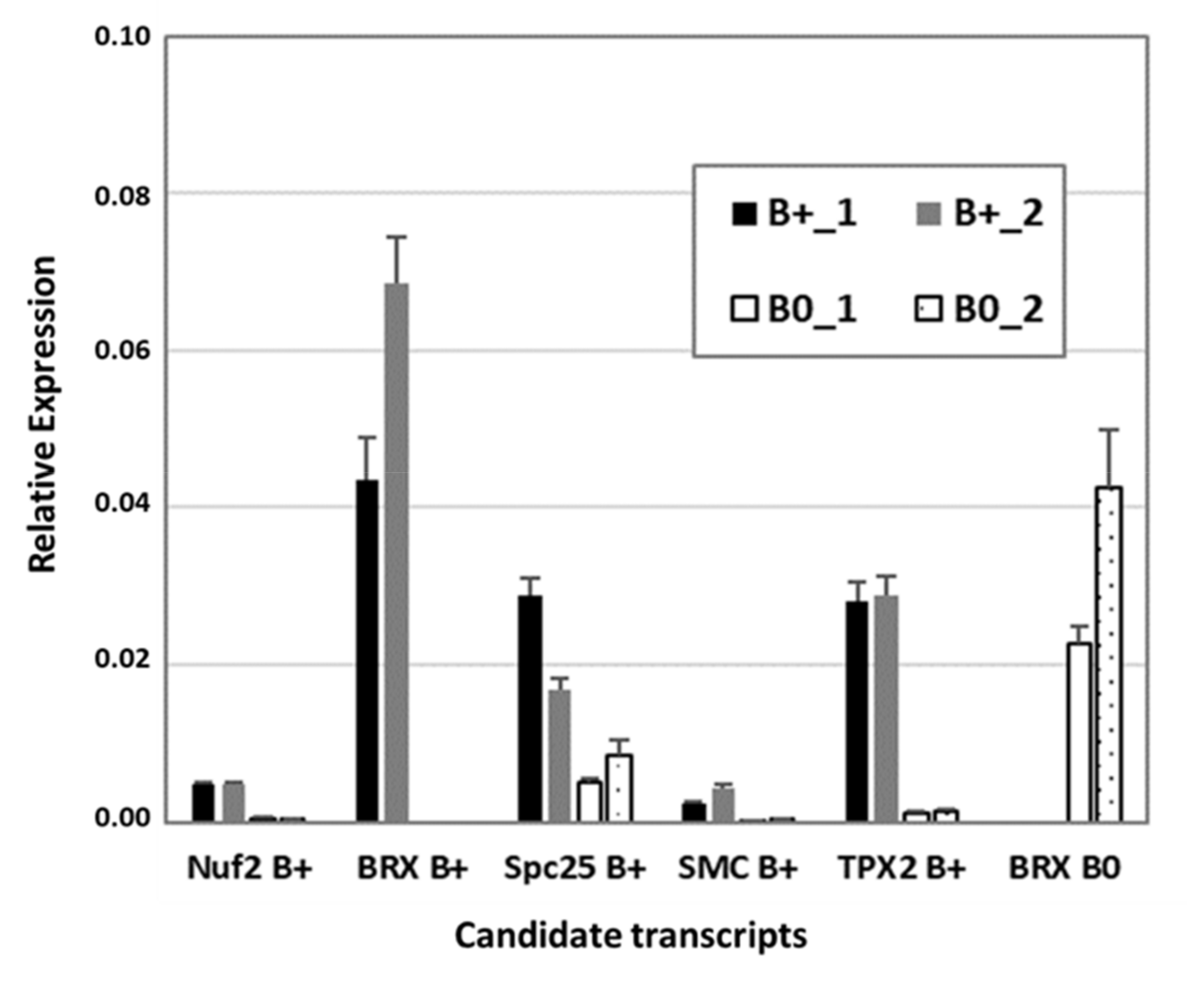 Ijms 21 07596 g005 Ijms 21 07596 g005