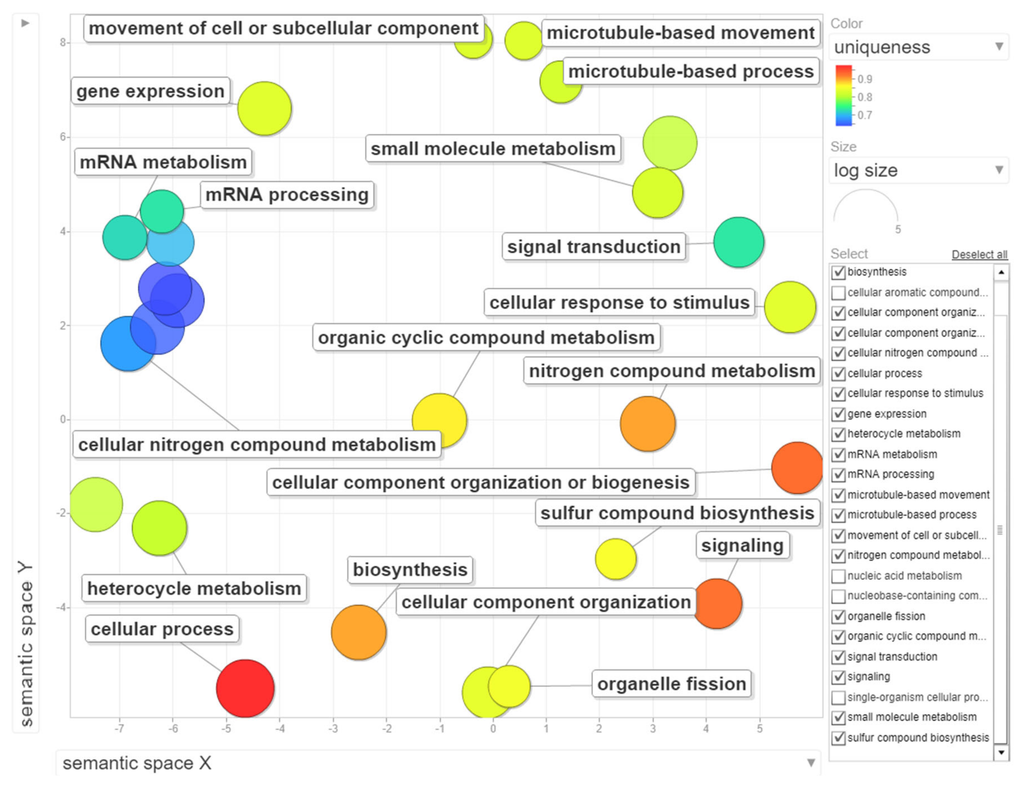 Ijms 21 07596 g006 Ijms 21 07596 g006