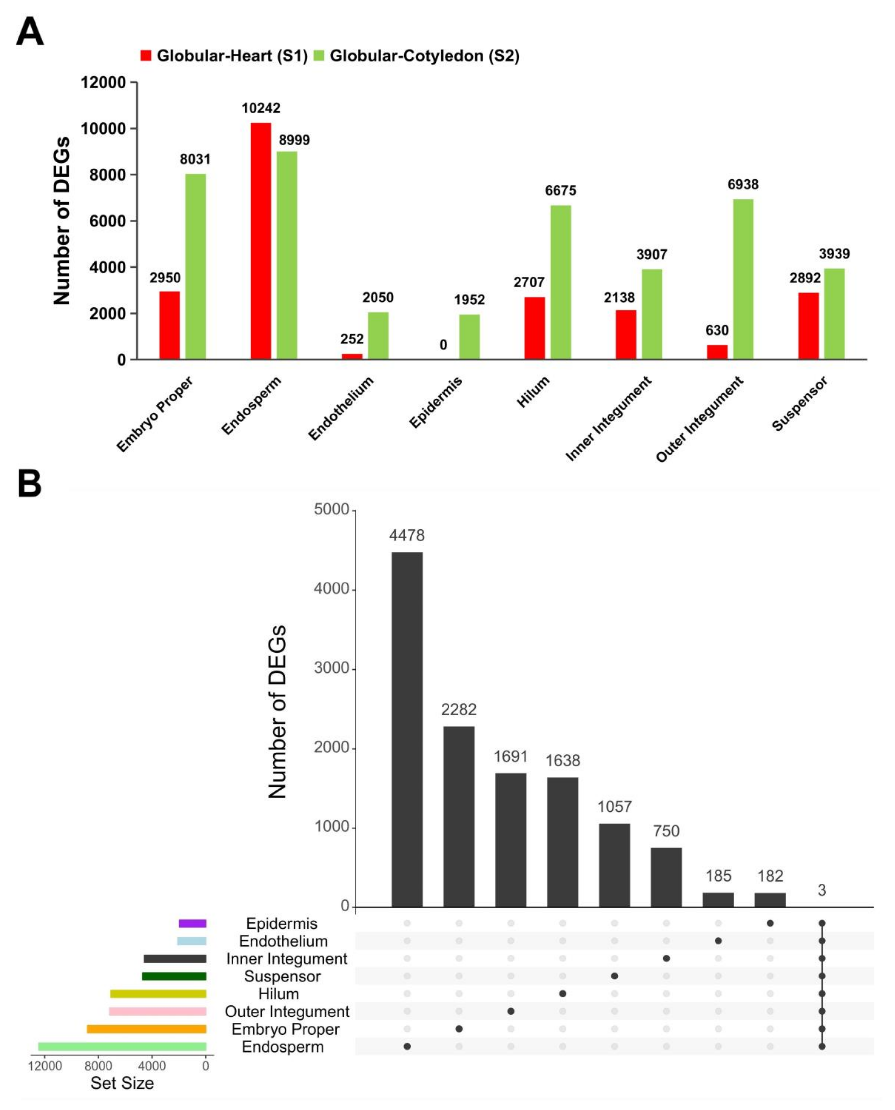 Ijms 21 07603 g002 Ijms 21 07603 g002