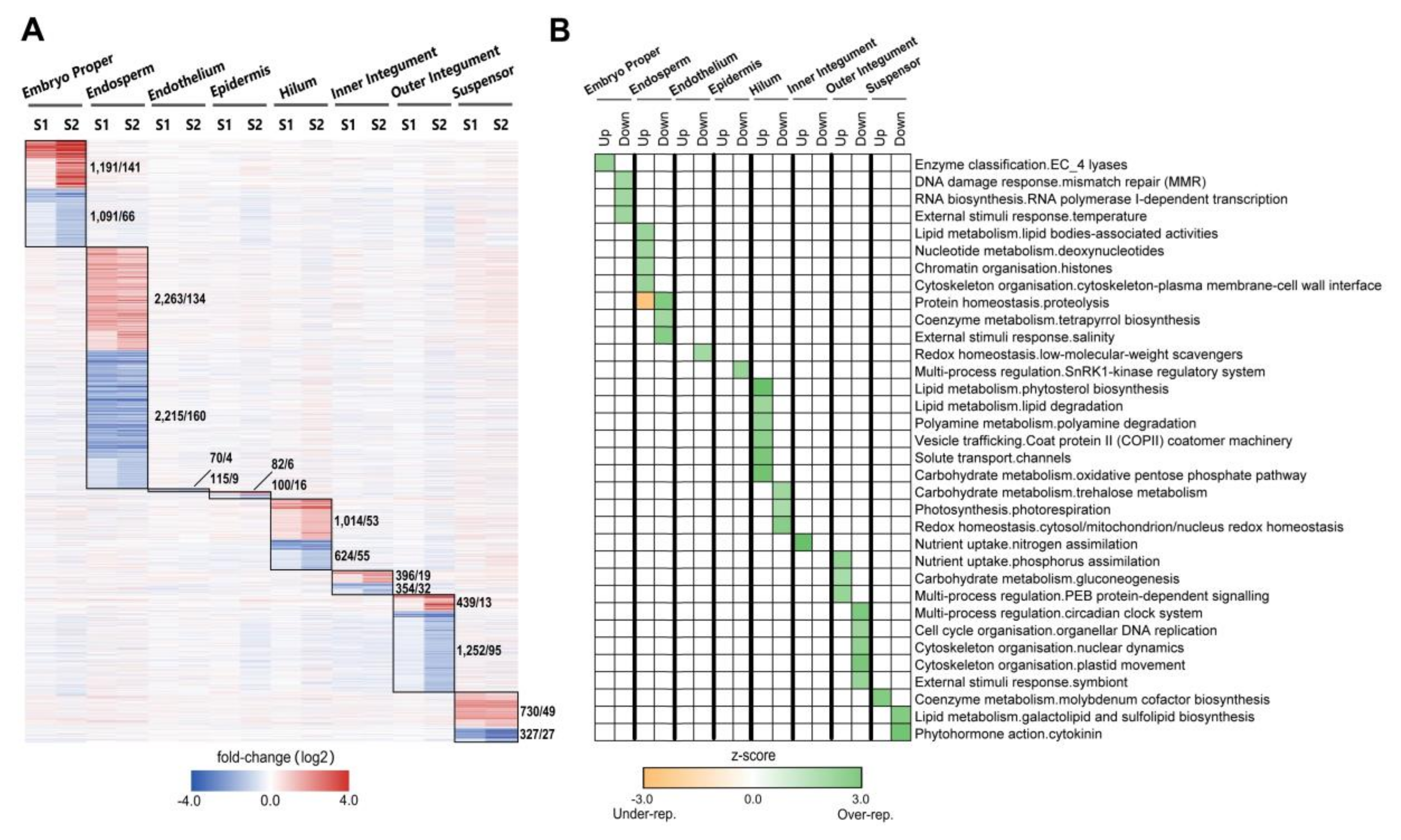 Ijms 21 07603 g003 Ijms 21 07603 g003