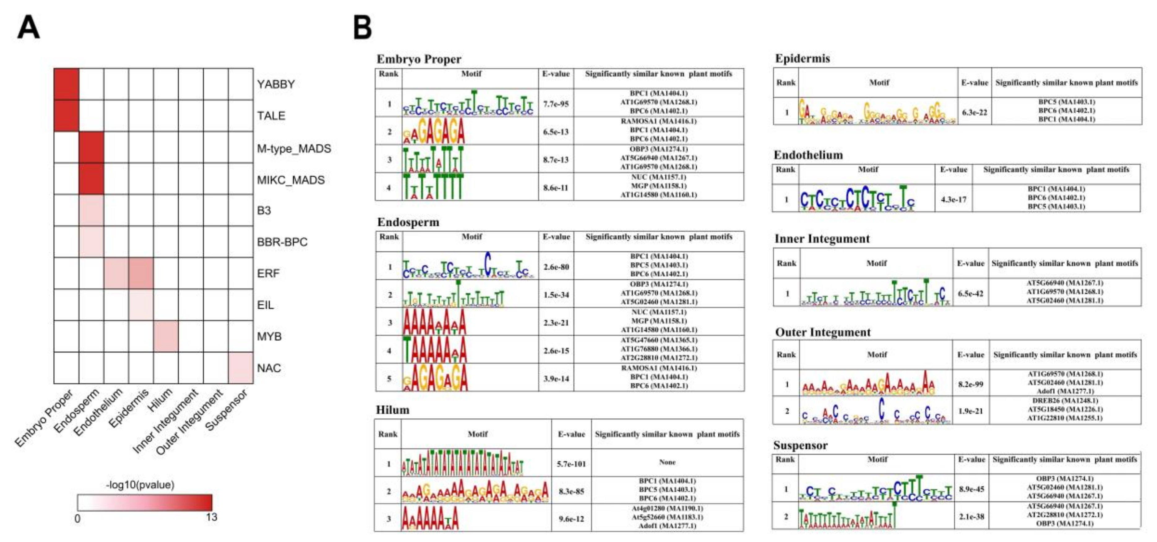 Ijms 21 07603 g006 Ijms 21 07603 g006