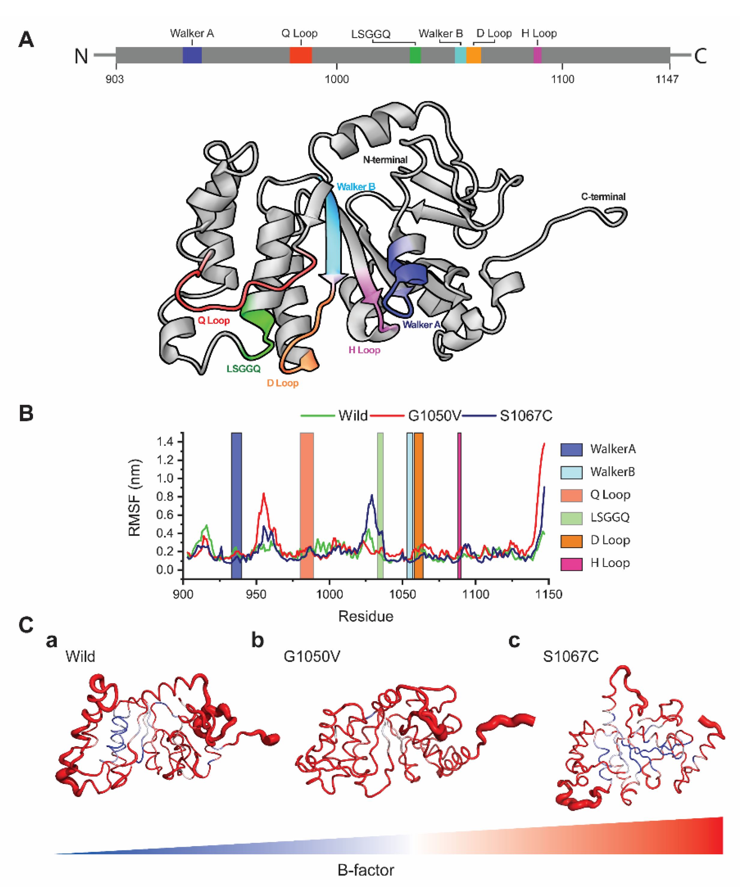 Ijms 21 07606 g004 Ijms 21 07606 g004