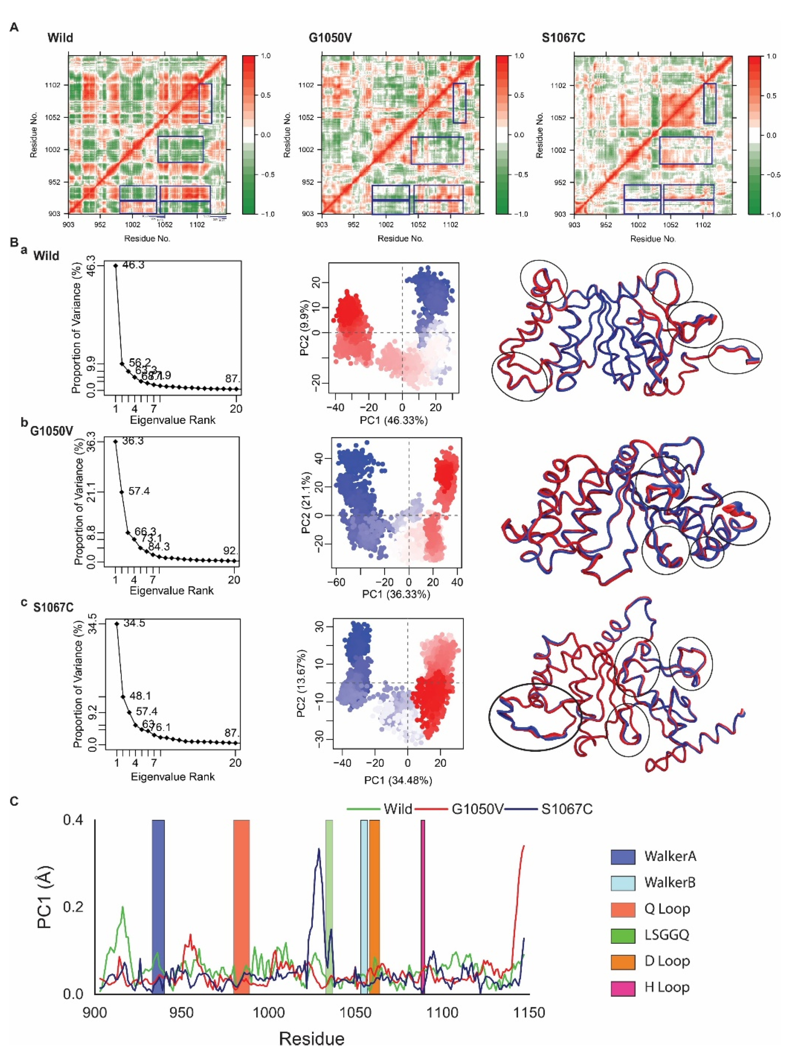 Ijms 21 07606 g005 Ijms 21 07606 g005