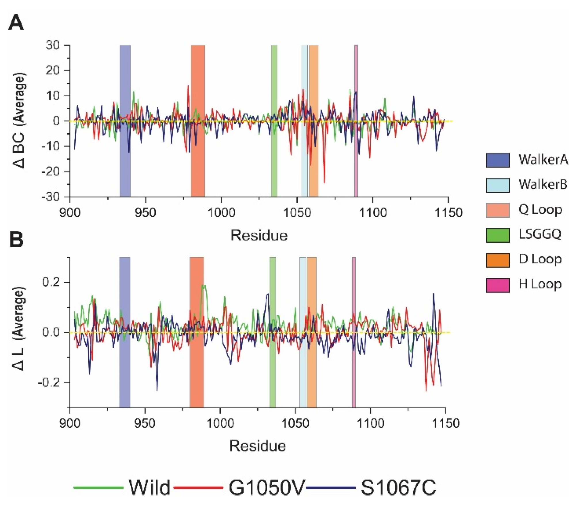 Ijms 21 07606 g006 Ijms 21 07606 g006