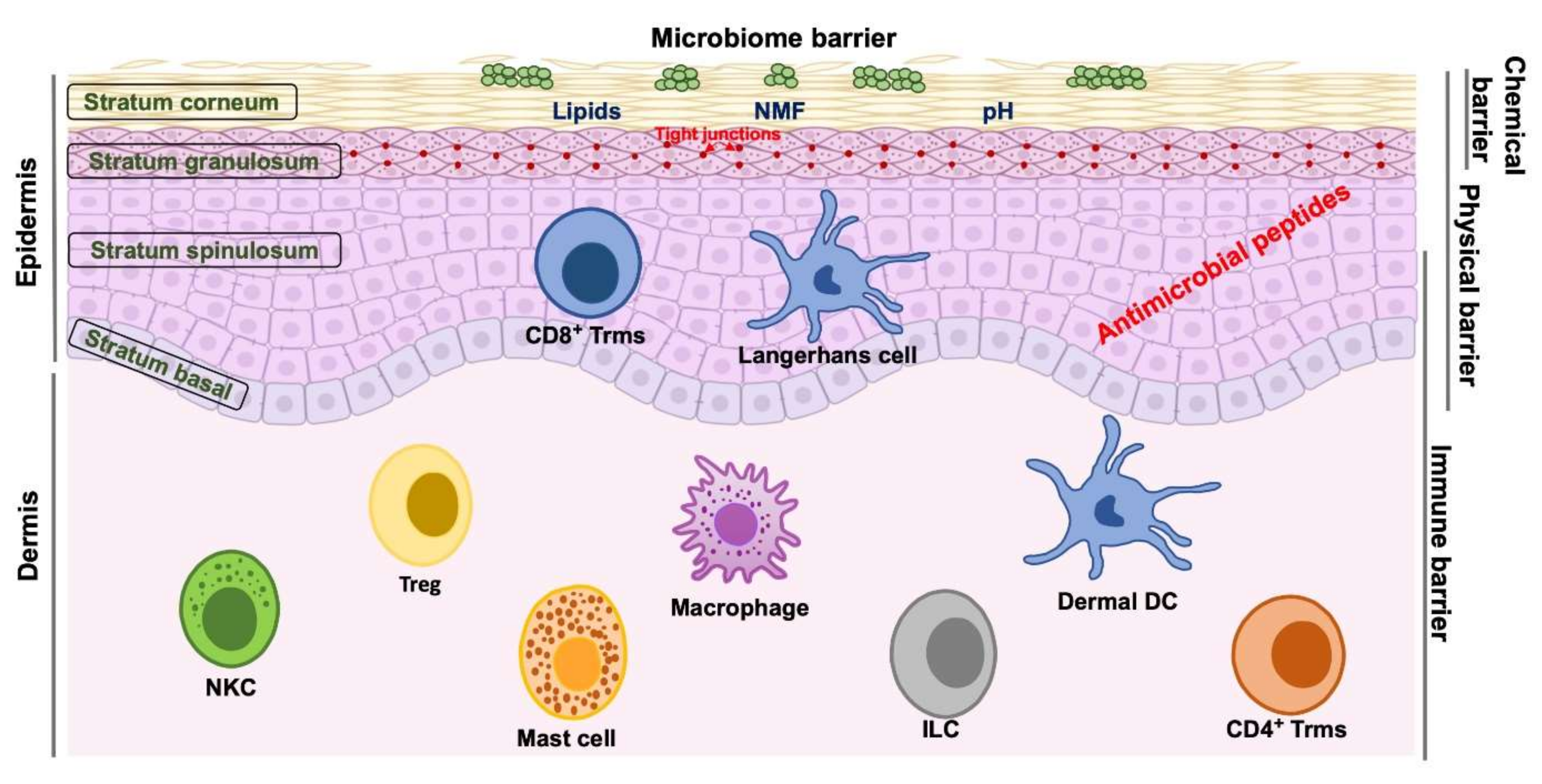 Ijms 21 07607 g001 Ijms 21 07607 g001