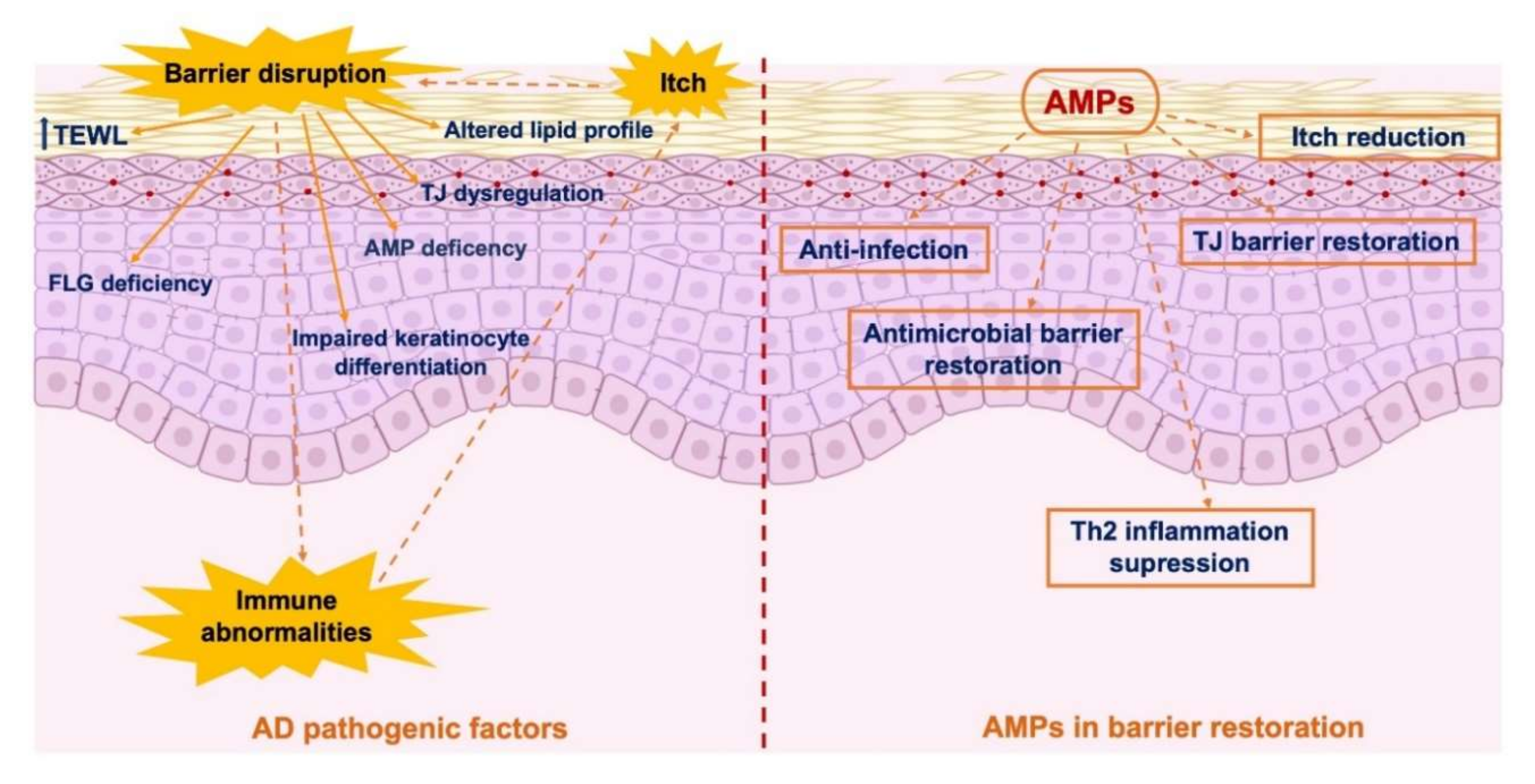 Ijms 21 07607 g003 Ijms 21 07607 g003