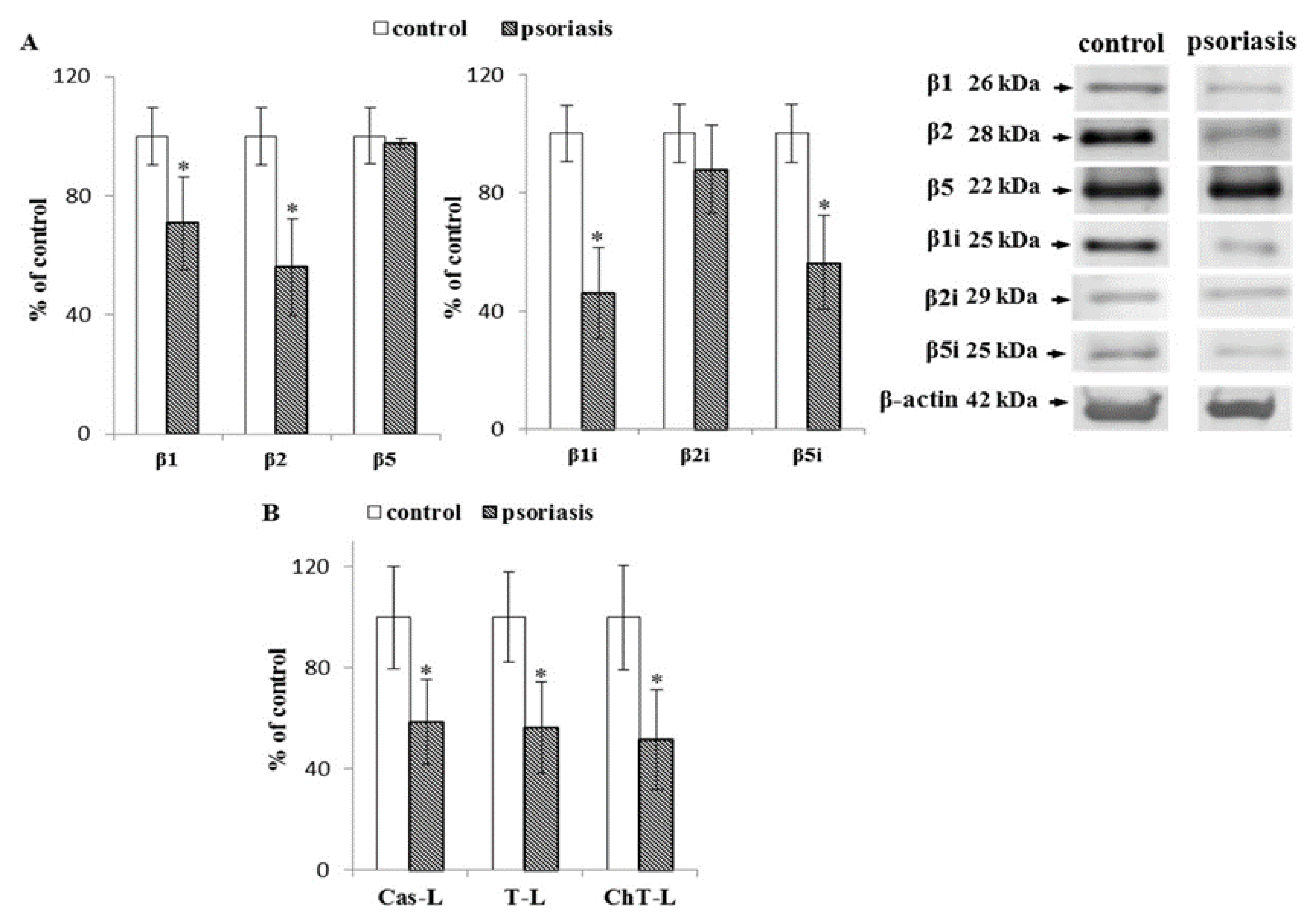 Ijms 21 07608 g002 Ijms 21 07608 g002