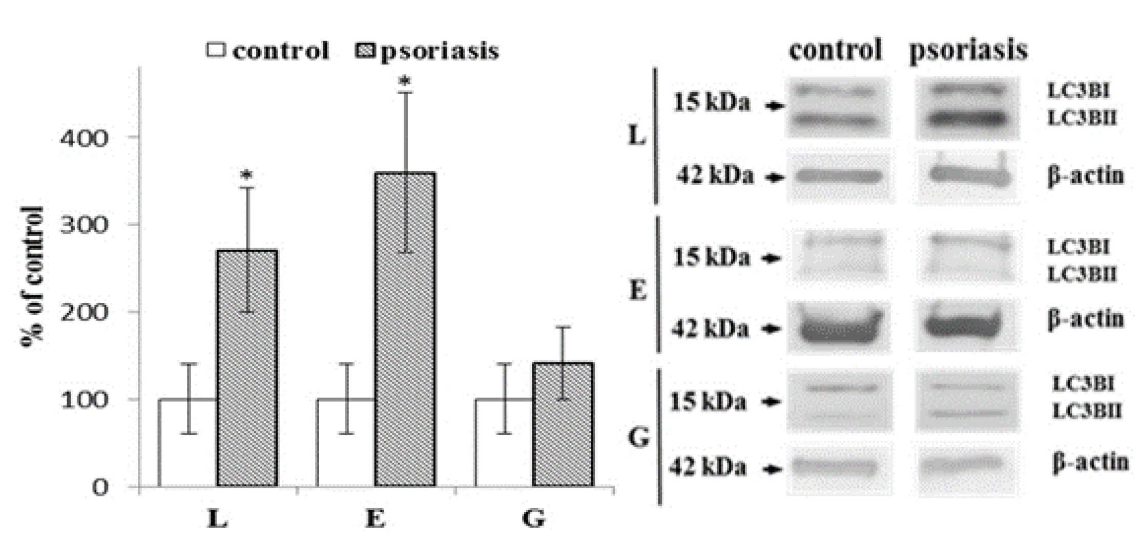 Ijms 21 07608 g004 Ijms 21 07608 g004