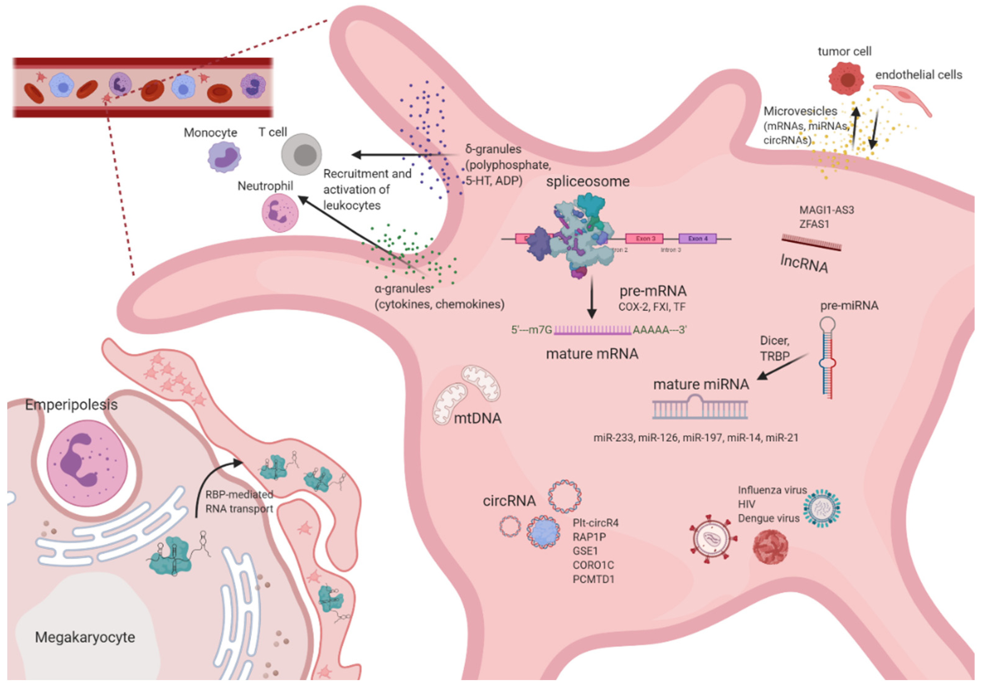 Ijms 21 07614 g001 Ijms 21 07614 g001