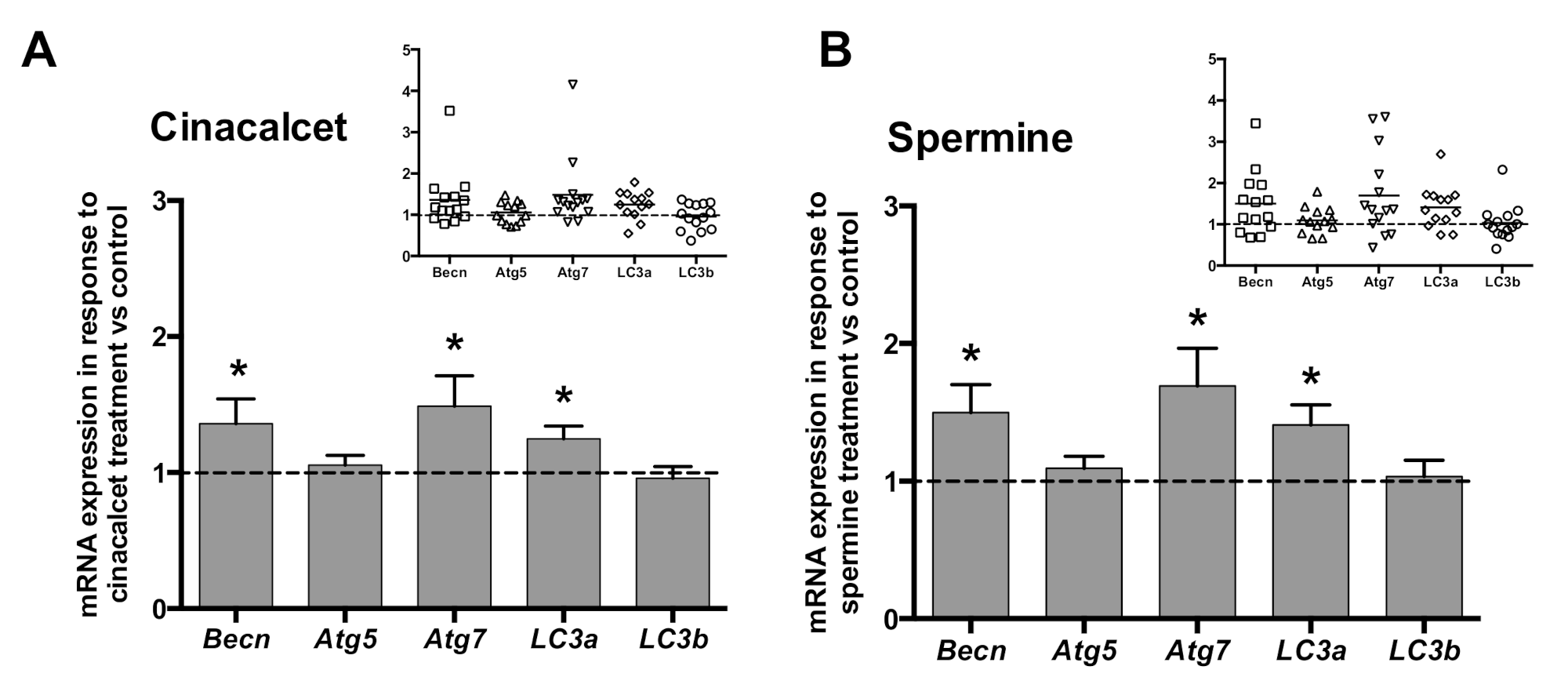 Ijms 21 07617 g002 Ijms 21 07617 g002