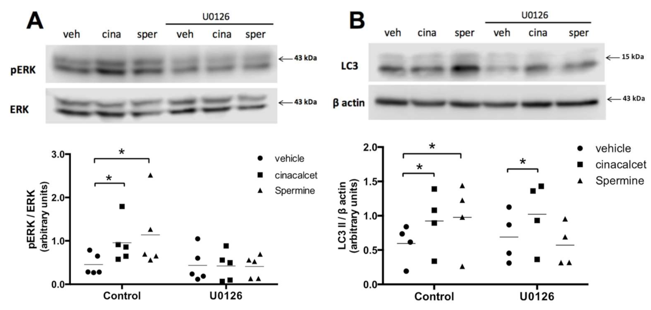Ijms 21 07617 g005 Ijms 21 07617 g005
