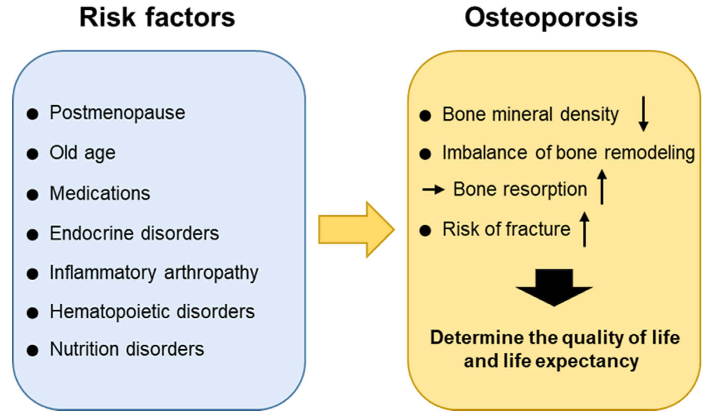 Ijms Free Full Text Molecular Mechanisms And Emerging Therapeutics For Osteoporosis Html