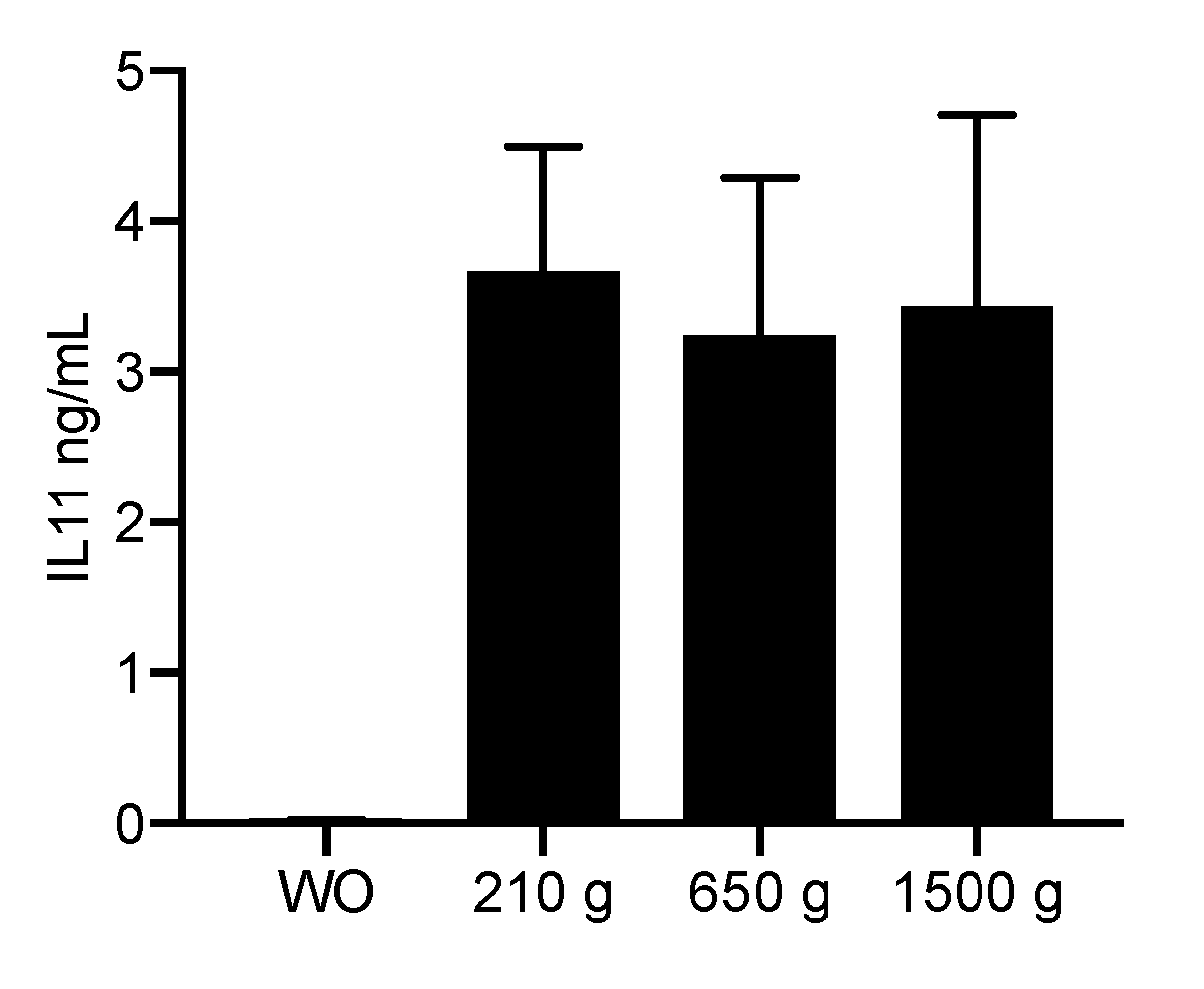 Ijms 21 07629 g002 Ijms 21 07629 g002