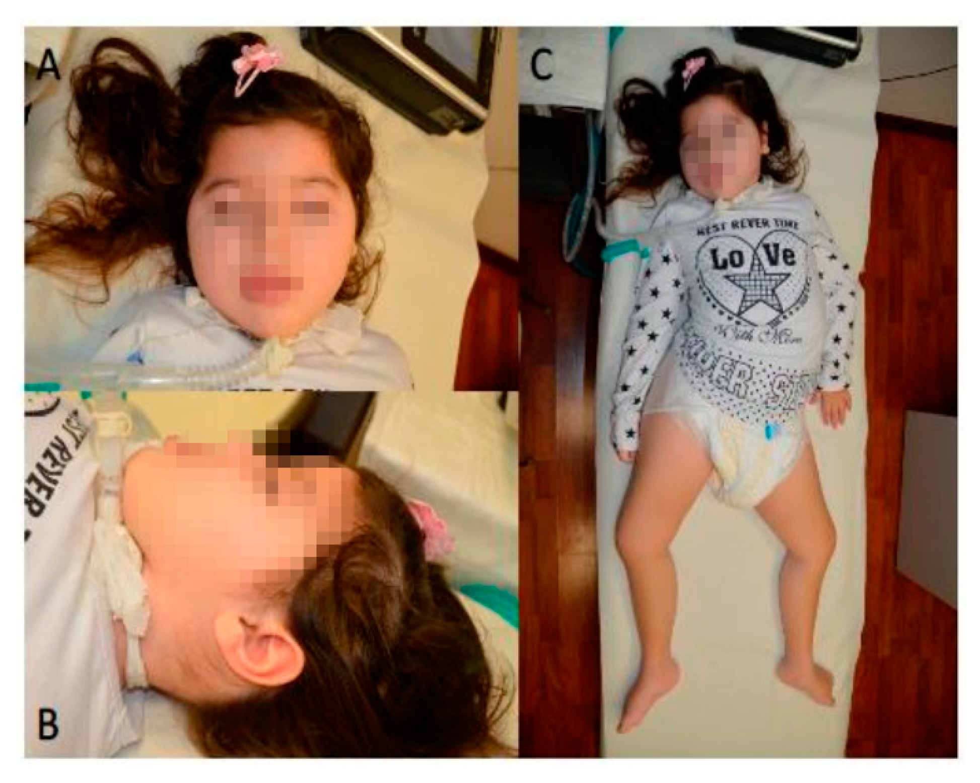 Ijms 21 07631 g002 Ijms 21 07631 g002