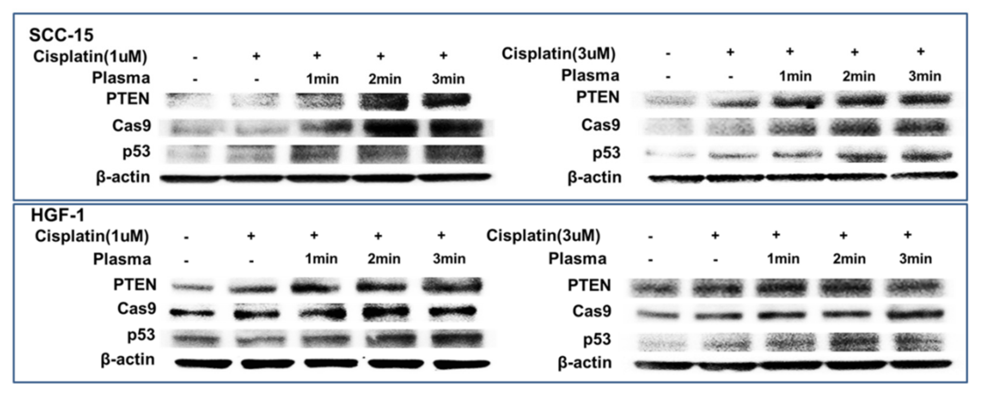 Ijms 21 07646 g008 Ijms 21 07646 g008