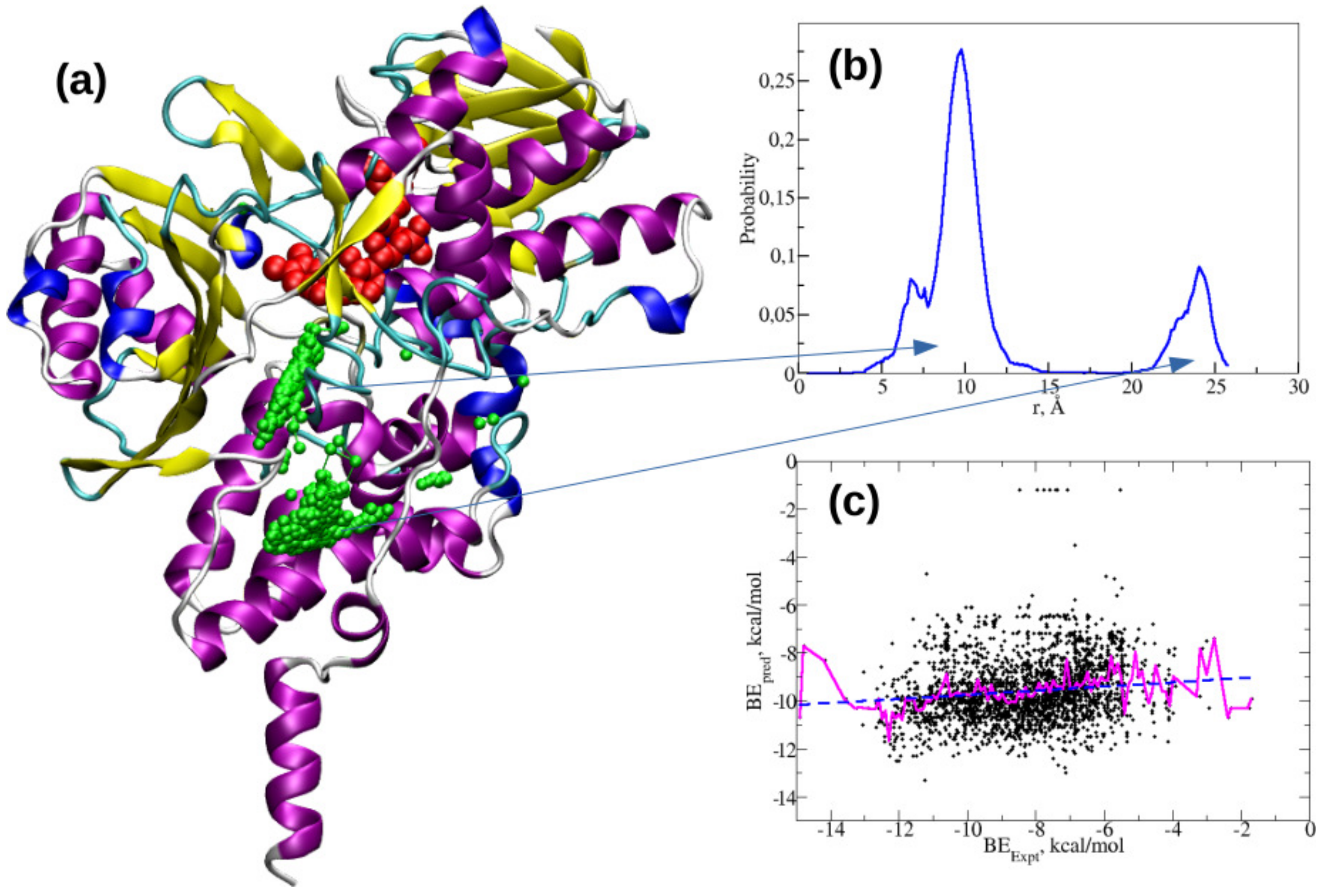 Ijms 21 07648 g006 Ijms 21 07648 g006