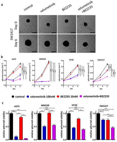 Horizontal Combination of MEK and PI3K/mTOR Inhibition in BRAF Mutant ...