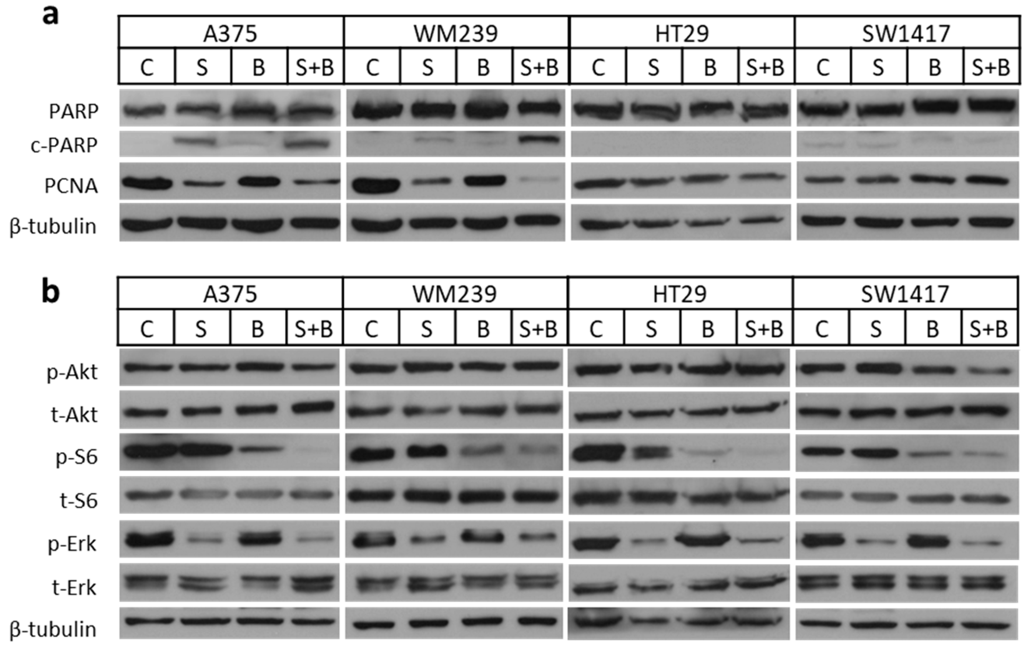 Ijms 21 07649 g005 Ijms 21 07649 g005