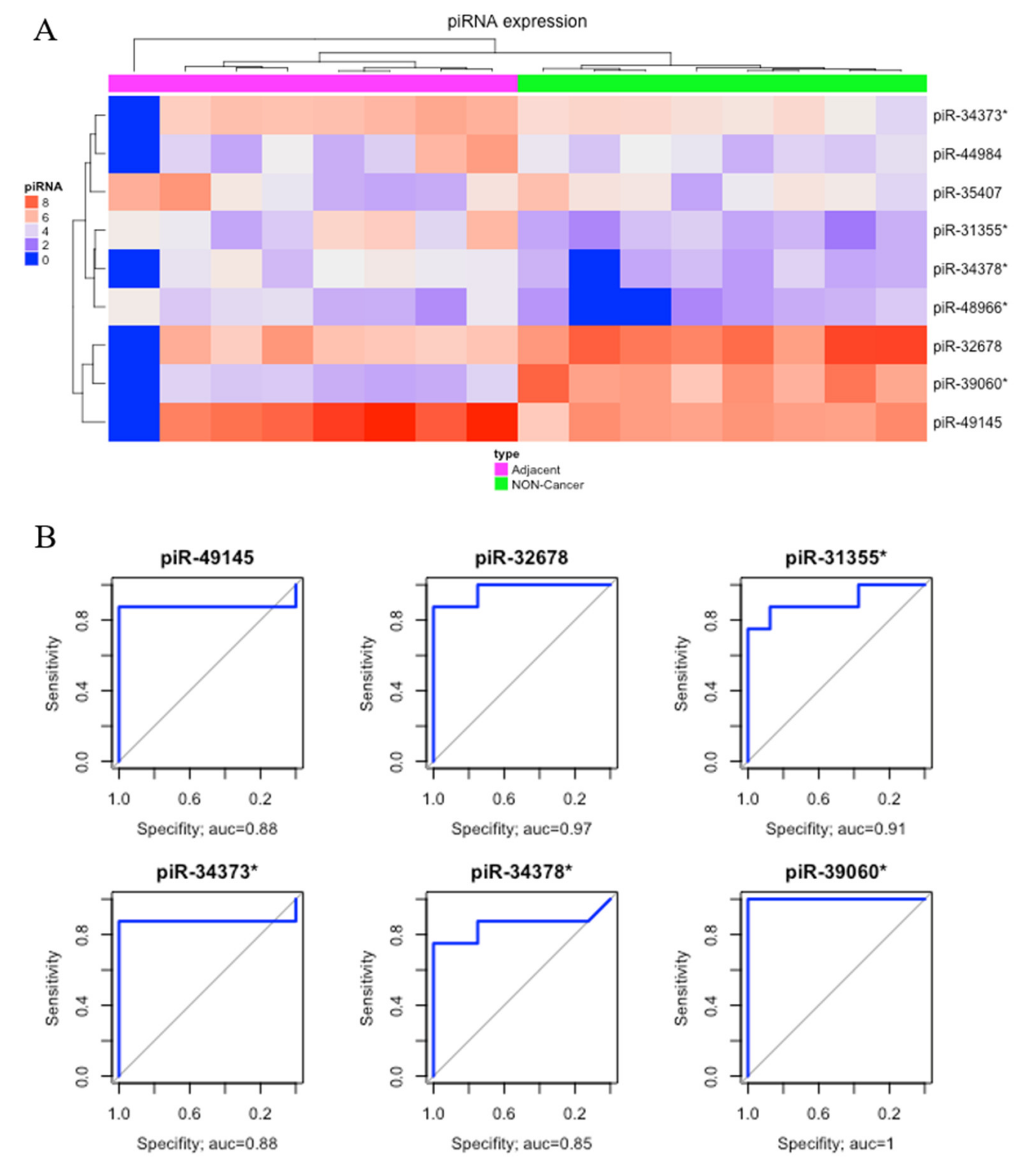 Ijms 21 07656 g003 Ijms 21 07656 g003