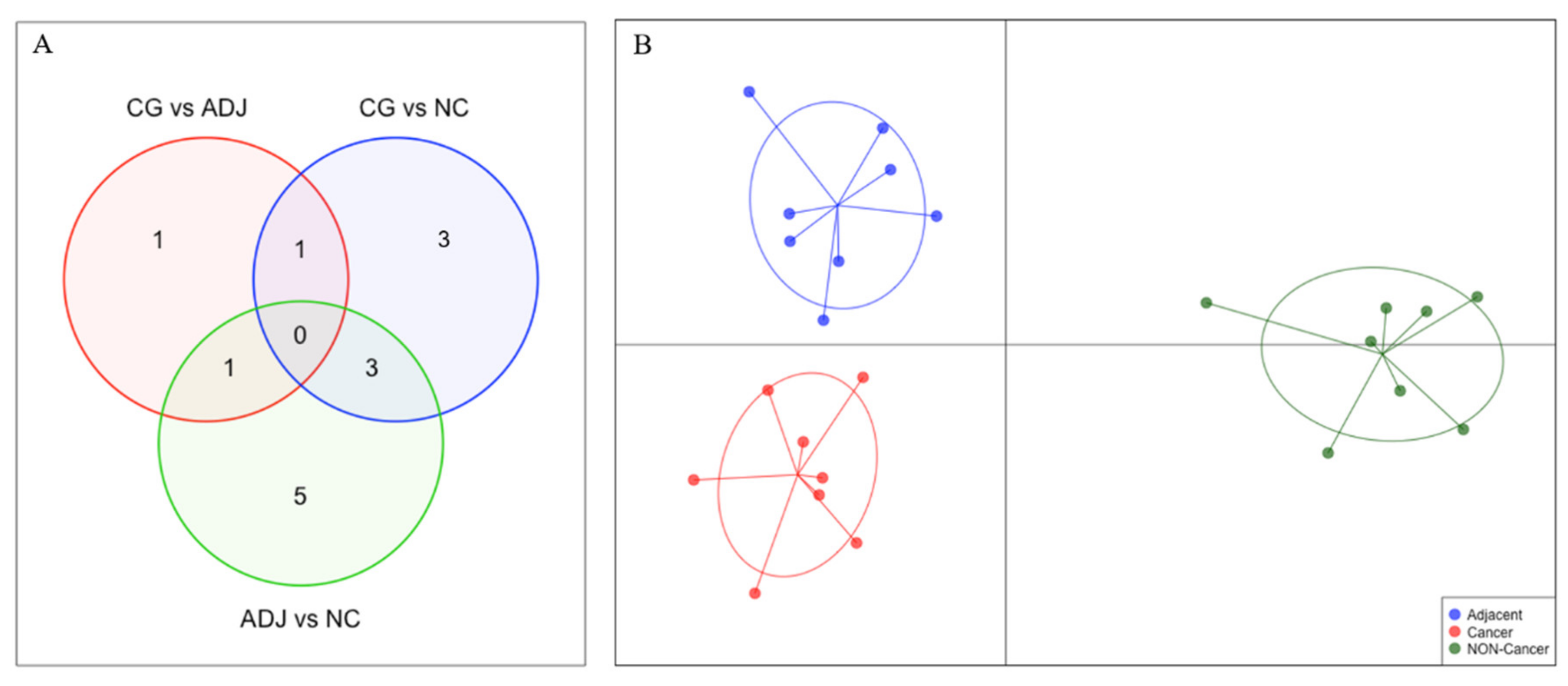 Ijms 21 07656 g004 Ijms 21 07656 g004