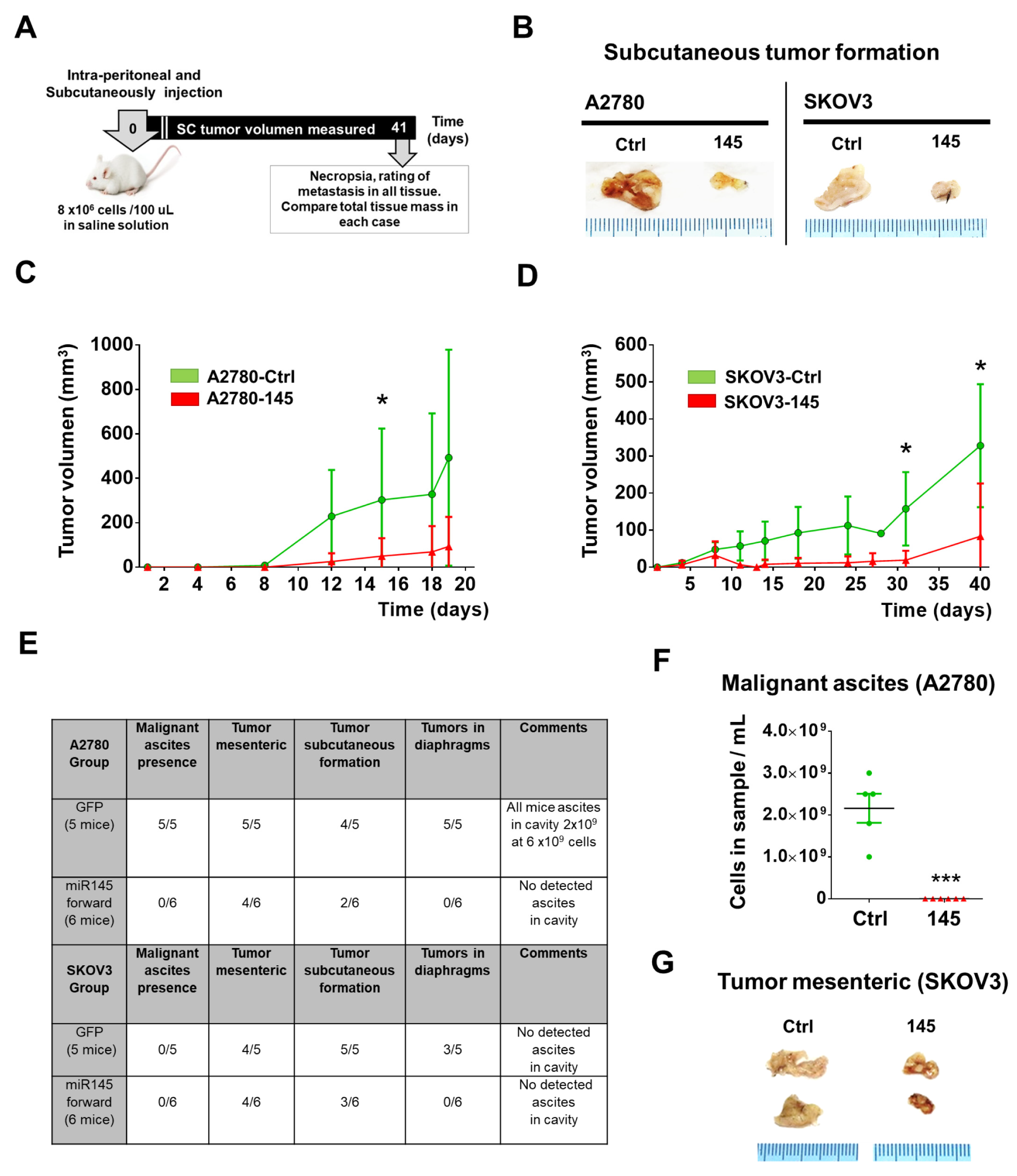 Ijms 21 07657 g004 Ijms 21 07657 g004