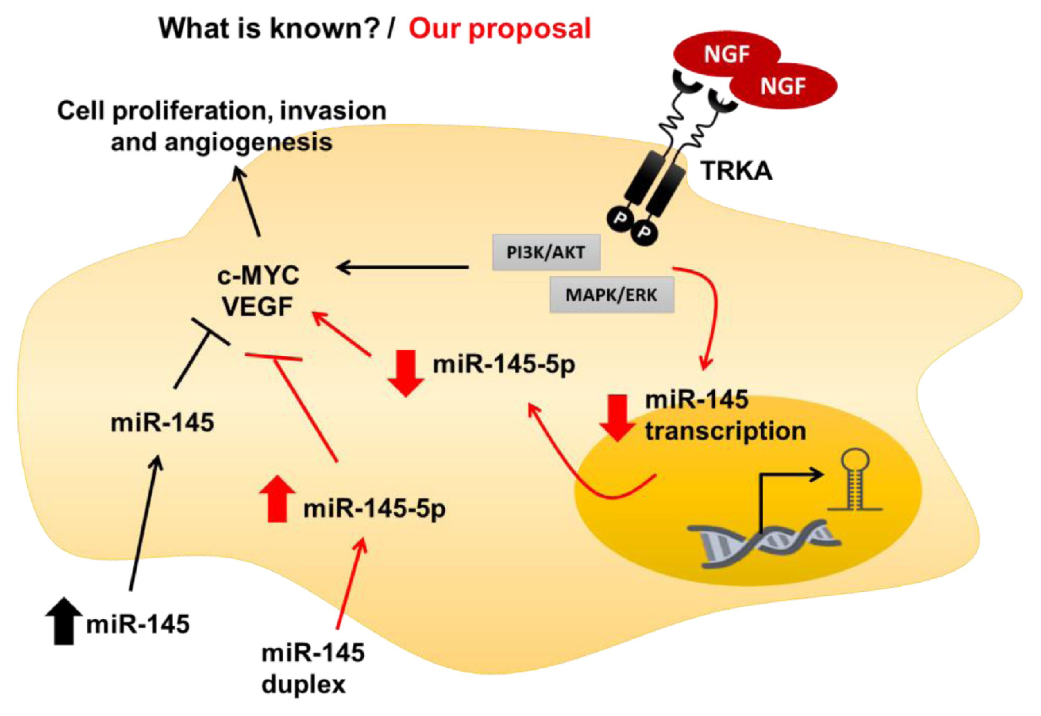 Ijms 21 07657 g009 Ijms 21 07657 g009