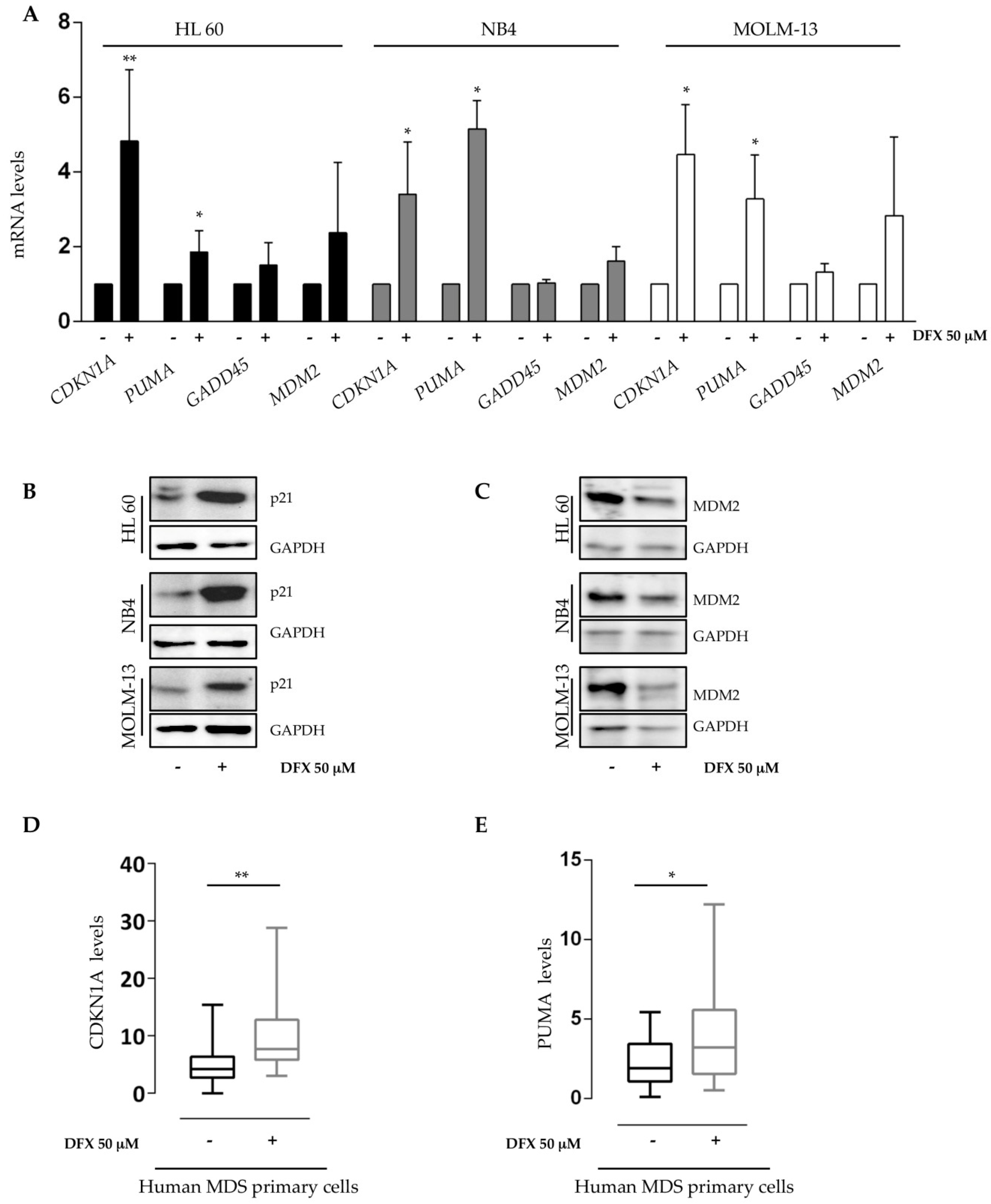 Ijms 21 07674 g003 Ijms 21 07674 g003