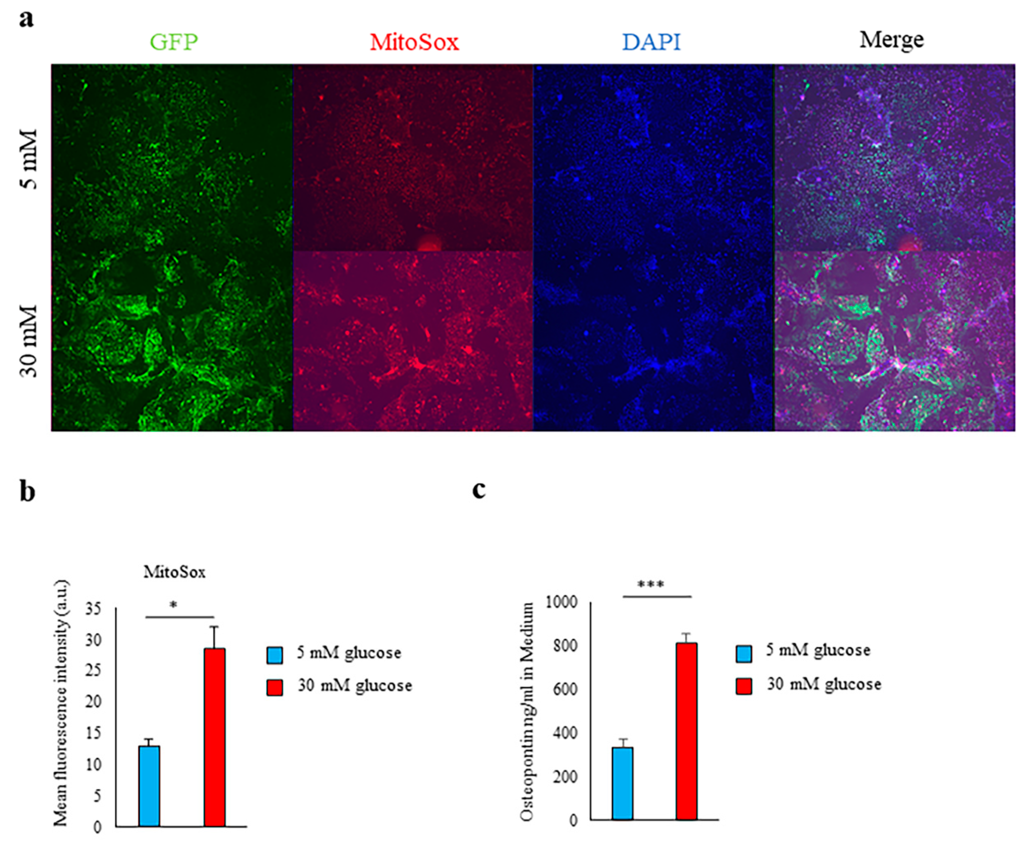 Ijms 21 07676 g001 Ijms 21 07676 g001
