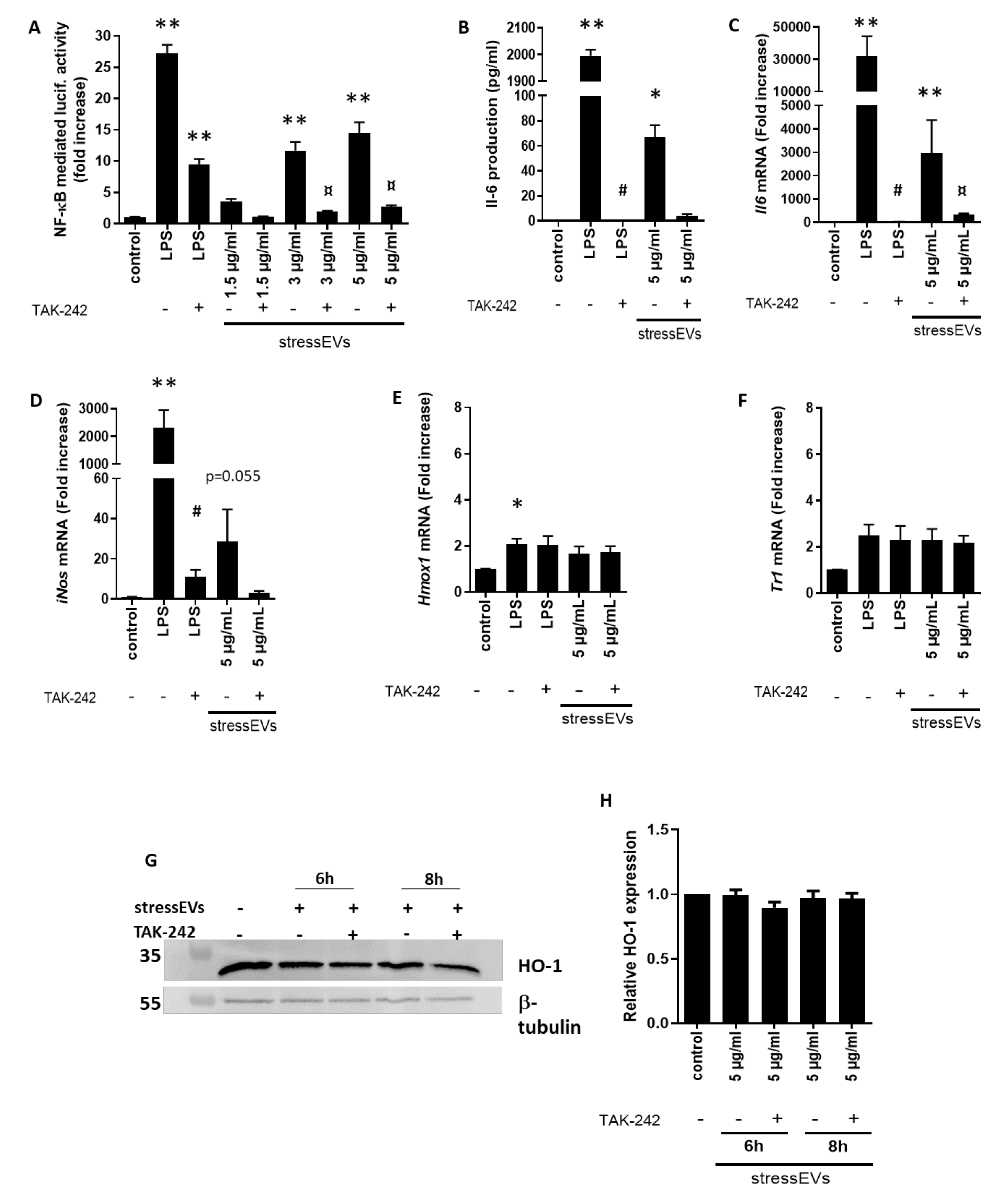 Ijms 21 07687 g002 Ijms 21 07687 g002