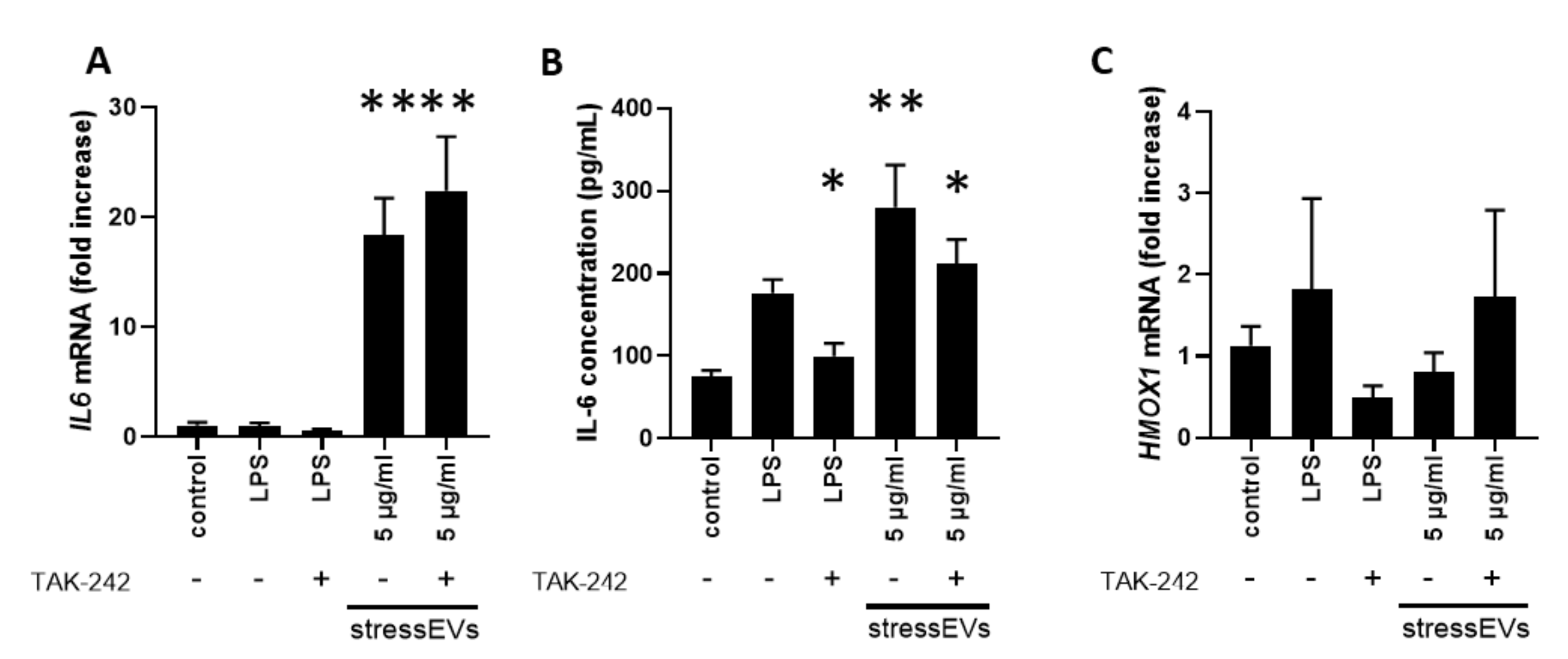 Ijms 21 07687 g004 Ijms 21 07687 g004