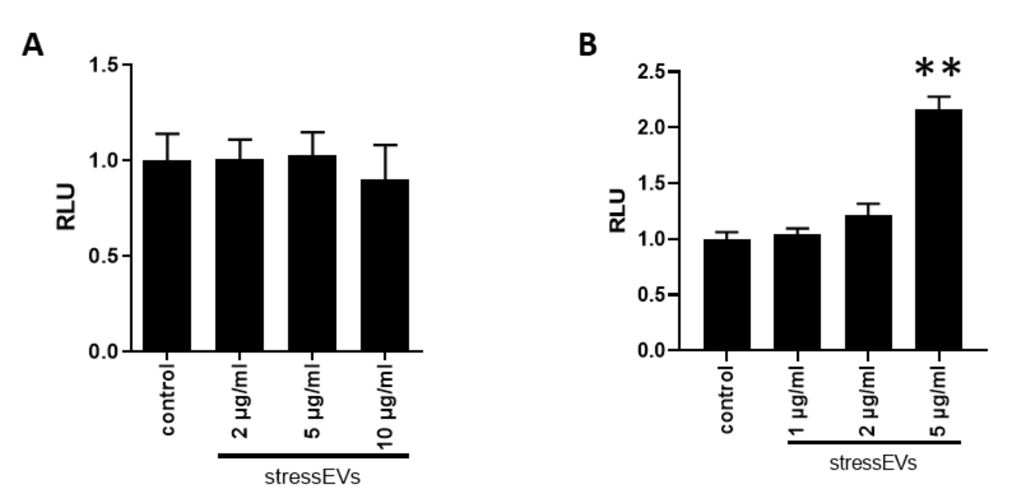 Ijms 21 07687 g005 Ijms 21 07687 g005