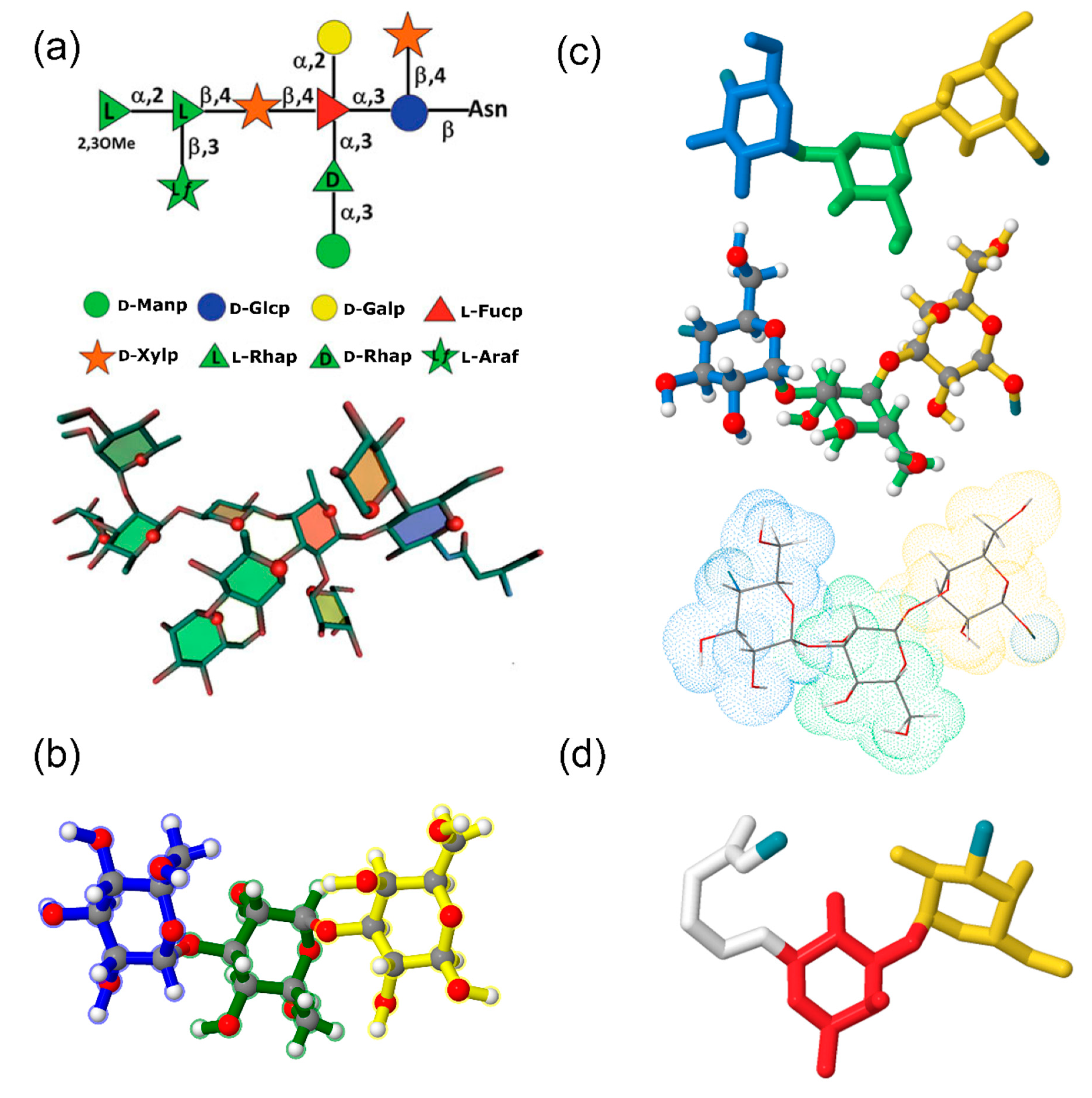 IJMS | Free Full-Text | Three-Dimensional Structures of Carbohydrates and Where to Find Them