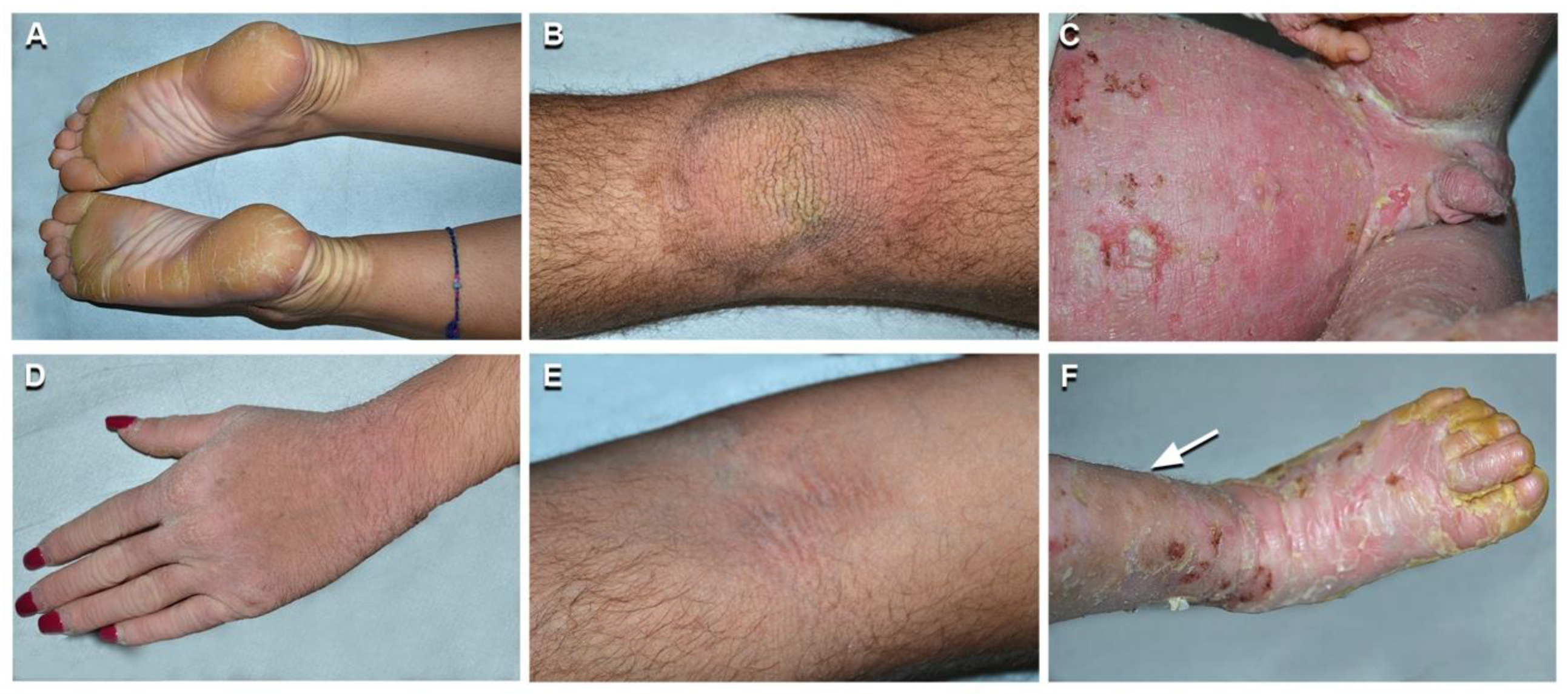 Ijms 21 07707 g002 Ijms 21 07707 g002