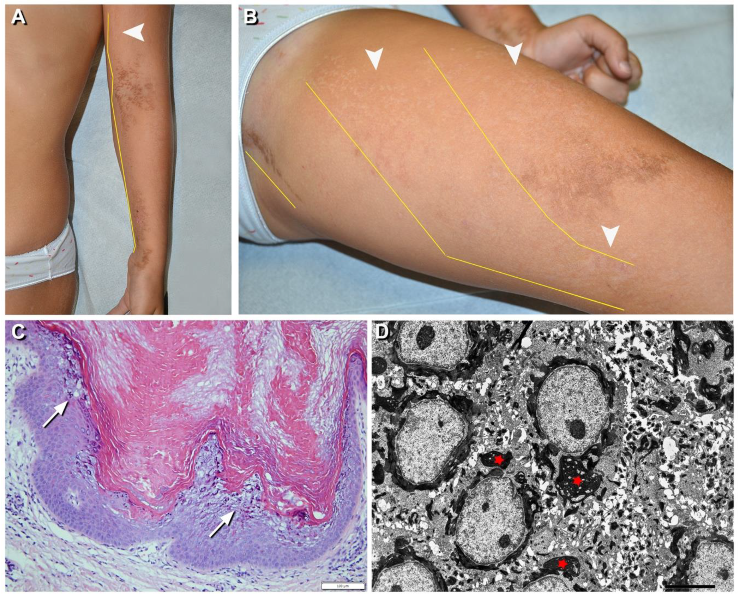 Ijms 21 07707 g003 Ijms 21 07707 g003