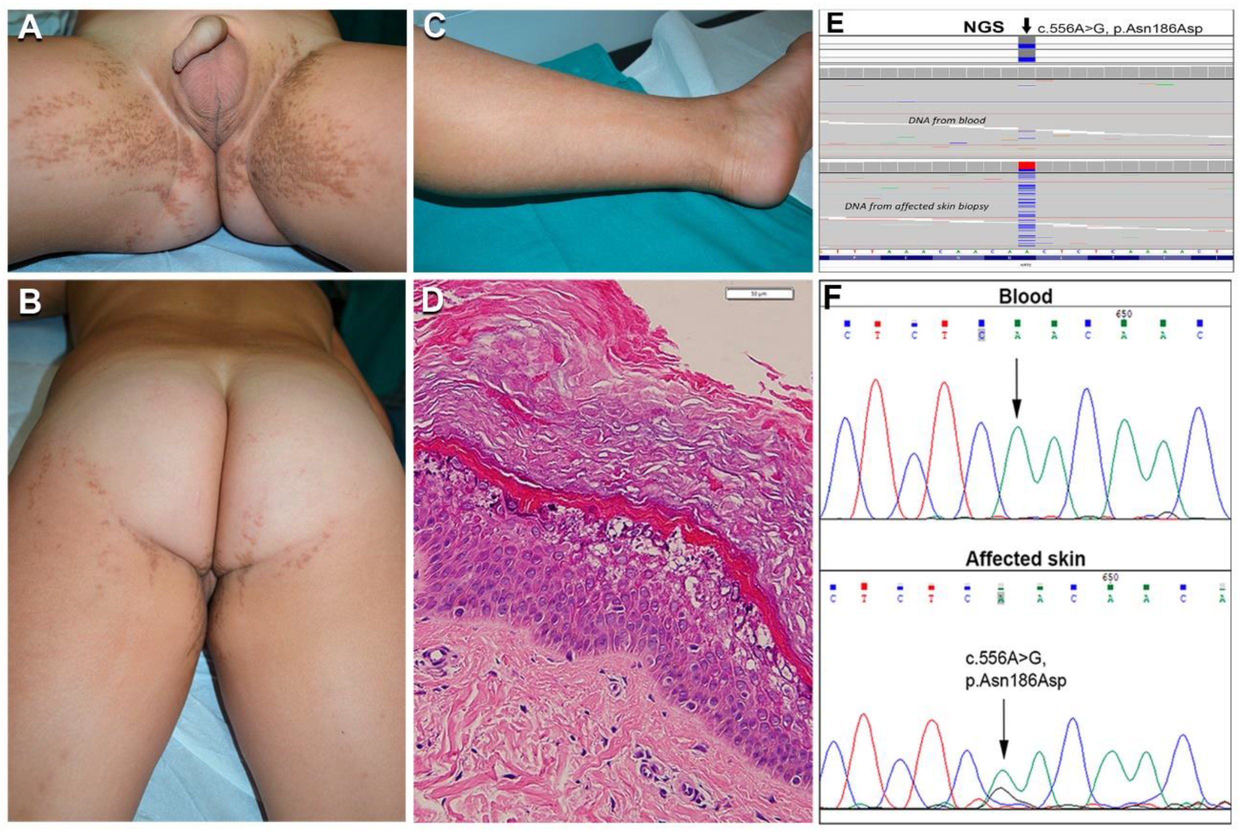 Ijms 21 07707 g004 Ijms 21 07707 g004