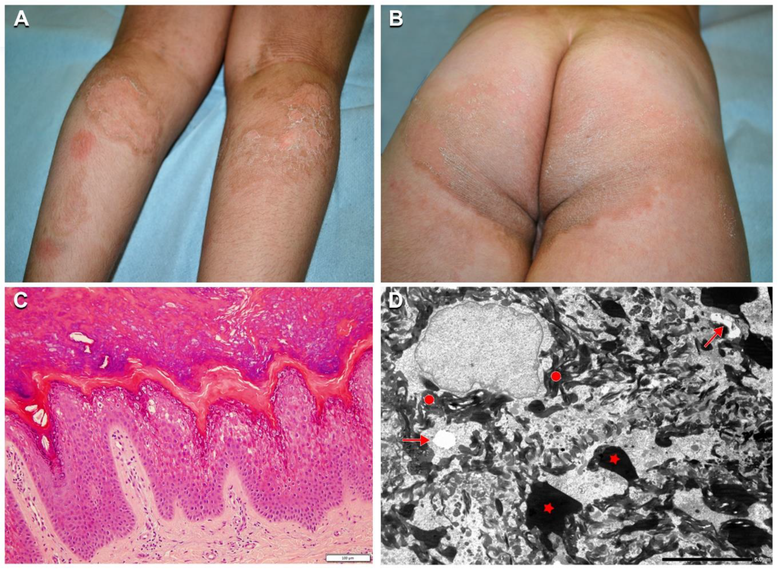 Ijms 21 07707 g005 Ijms 21 07707 g005