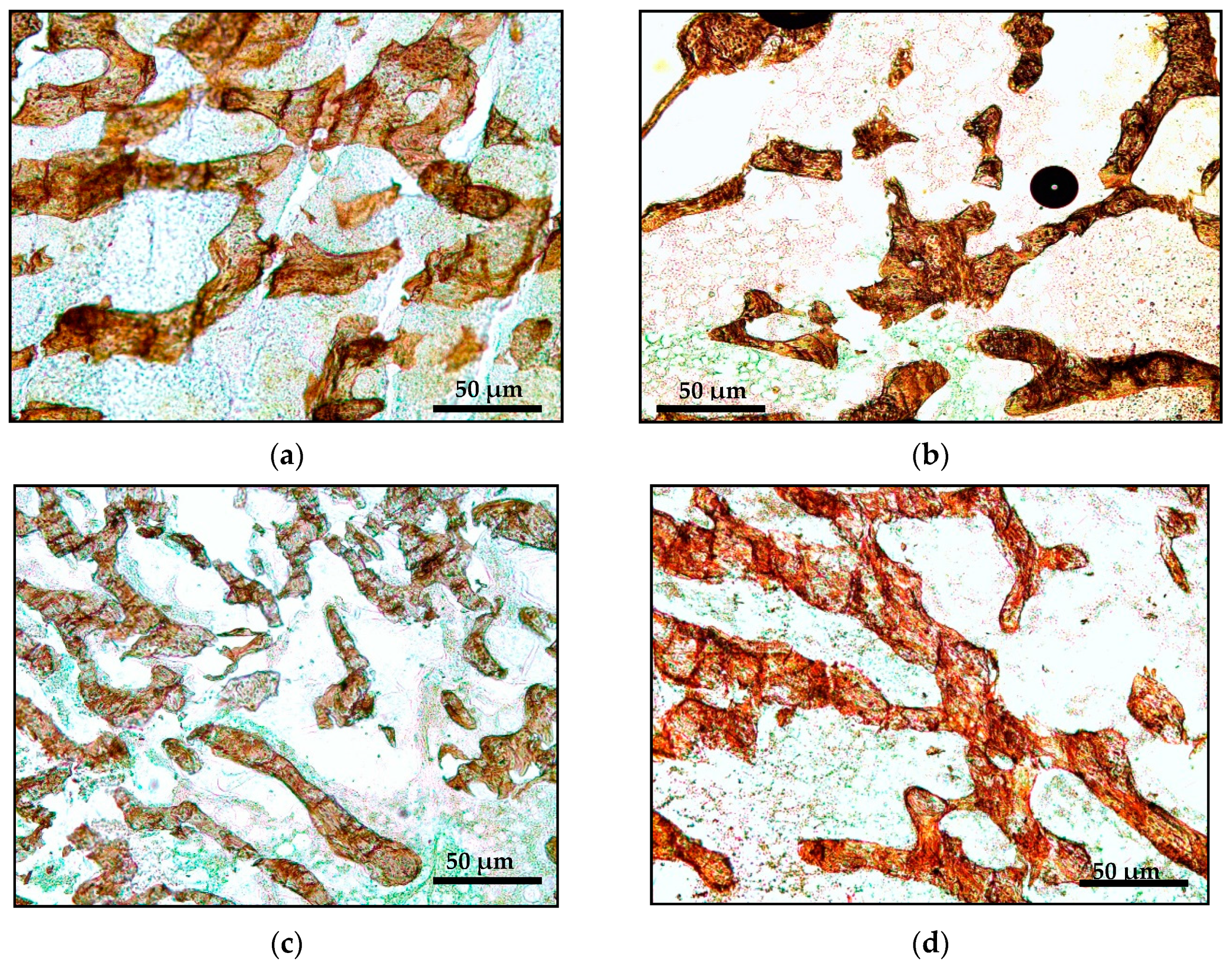 Ijms 21 07715 g001 Ijms 21 07715 g001