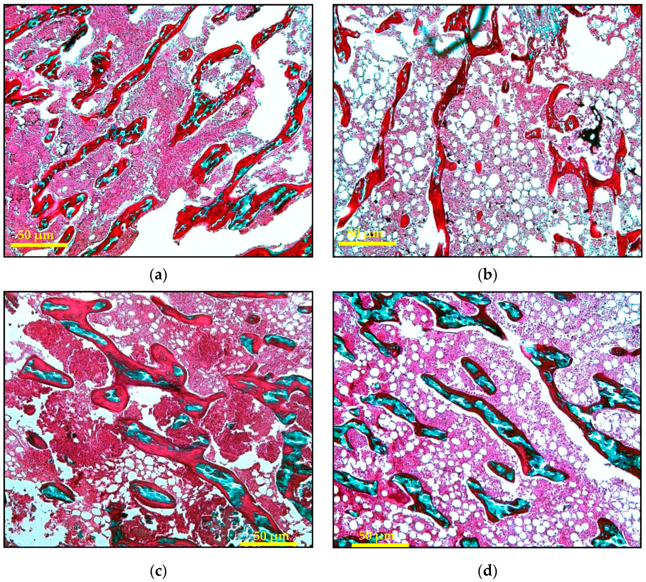 Ijms 21 07715 g002 Ijms 21 07715 g002