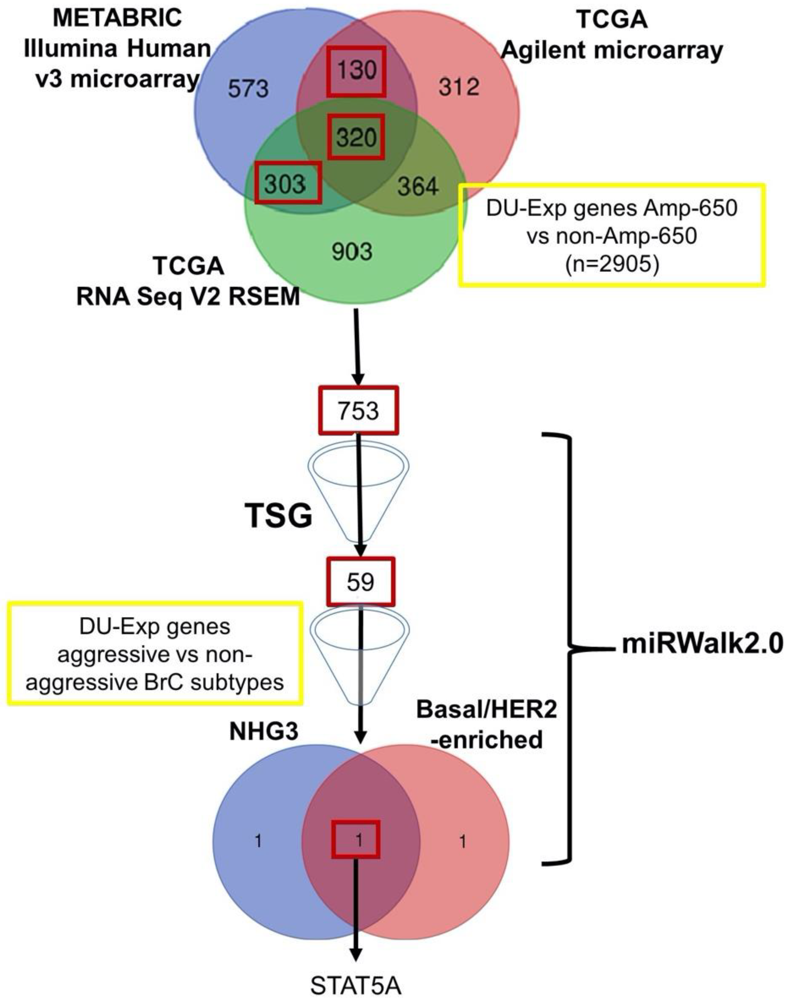 Ijms 21 07720 g002 Ijms 21 07720 g002