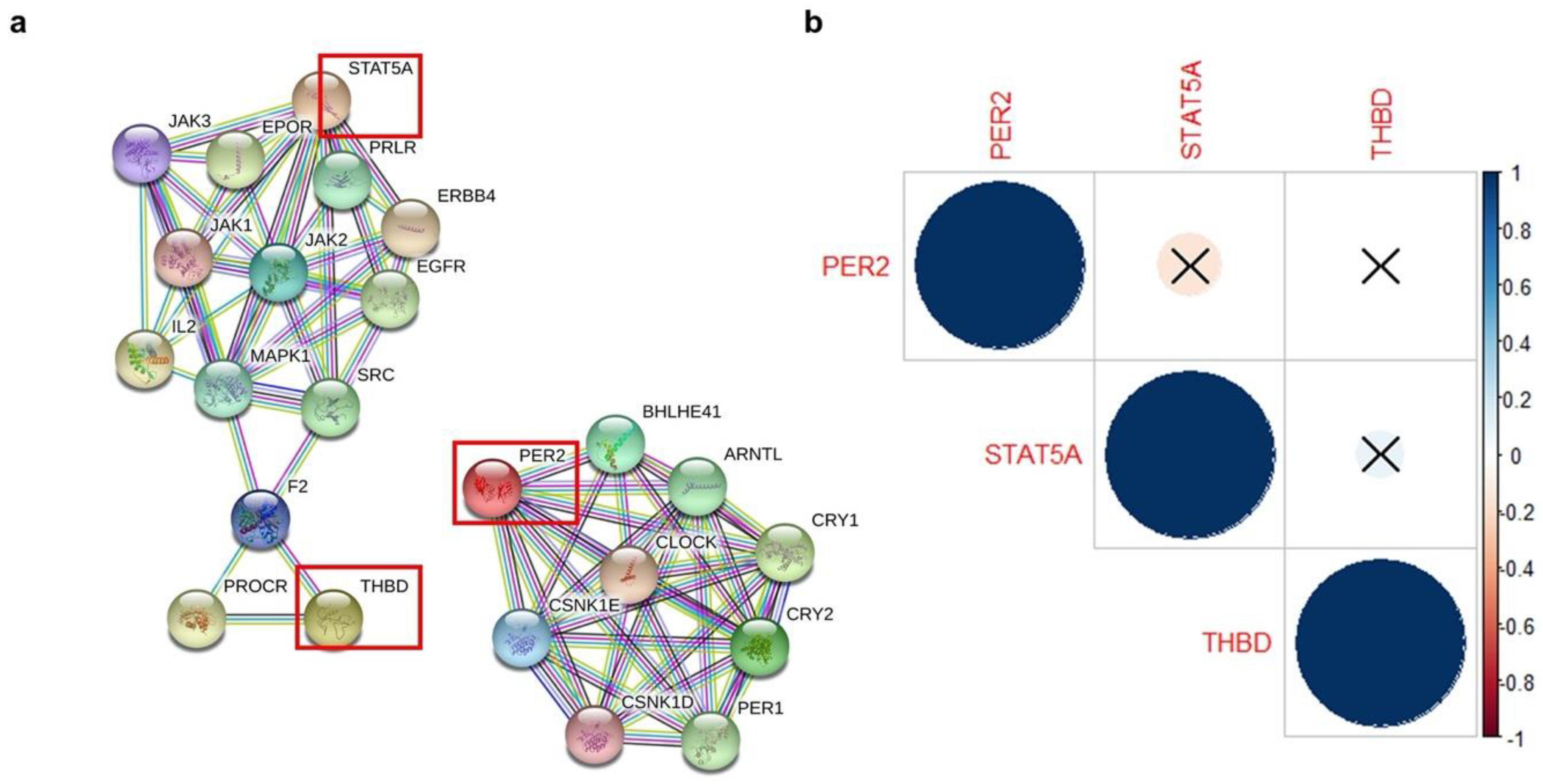 Ijms 21 07720 g003 Ijms 21 07720 g003