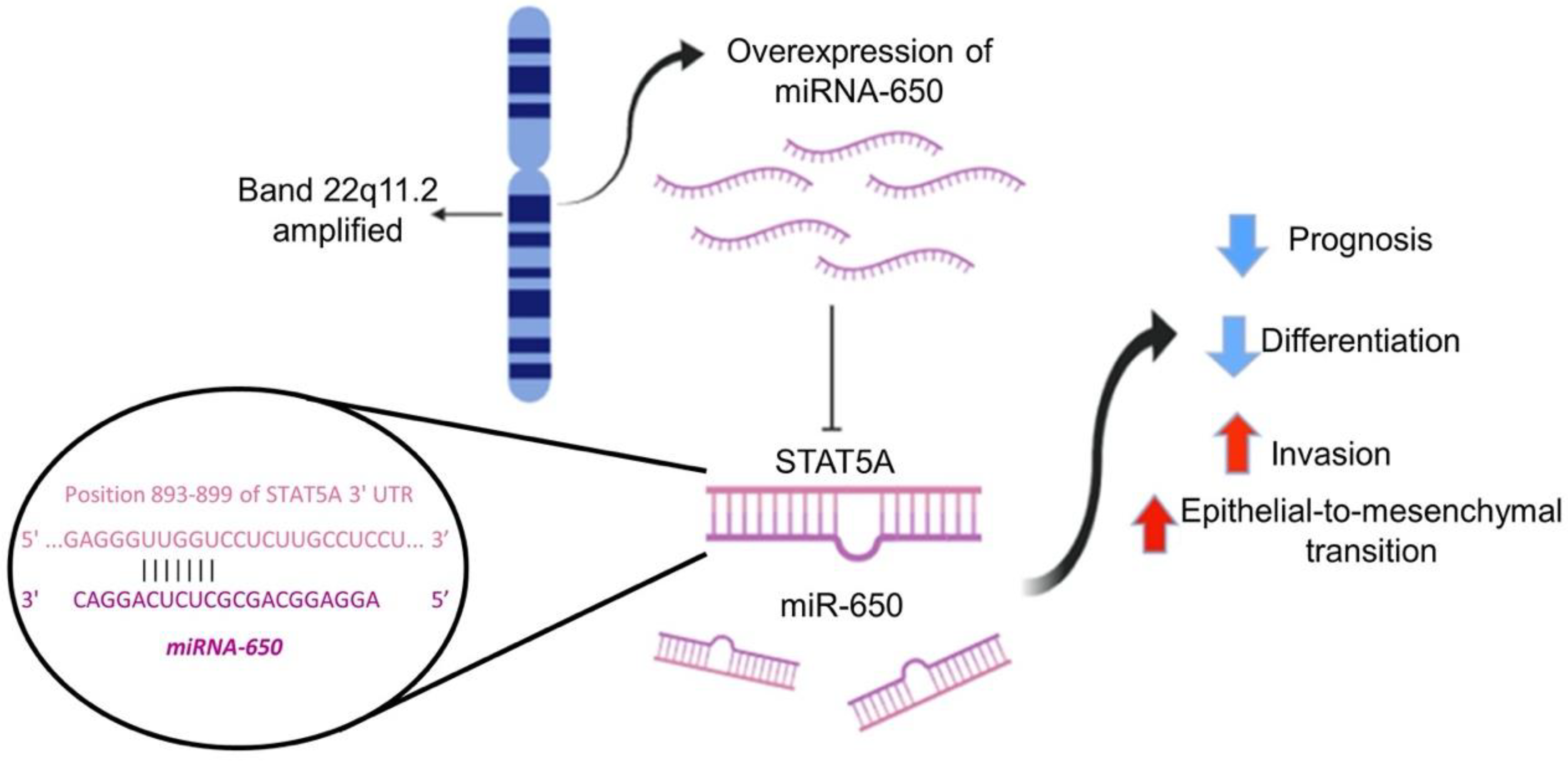 Ijms 21 07720 g005 Ijms 21 07720 g005