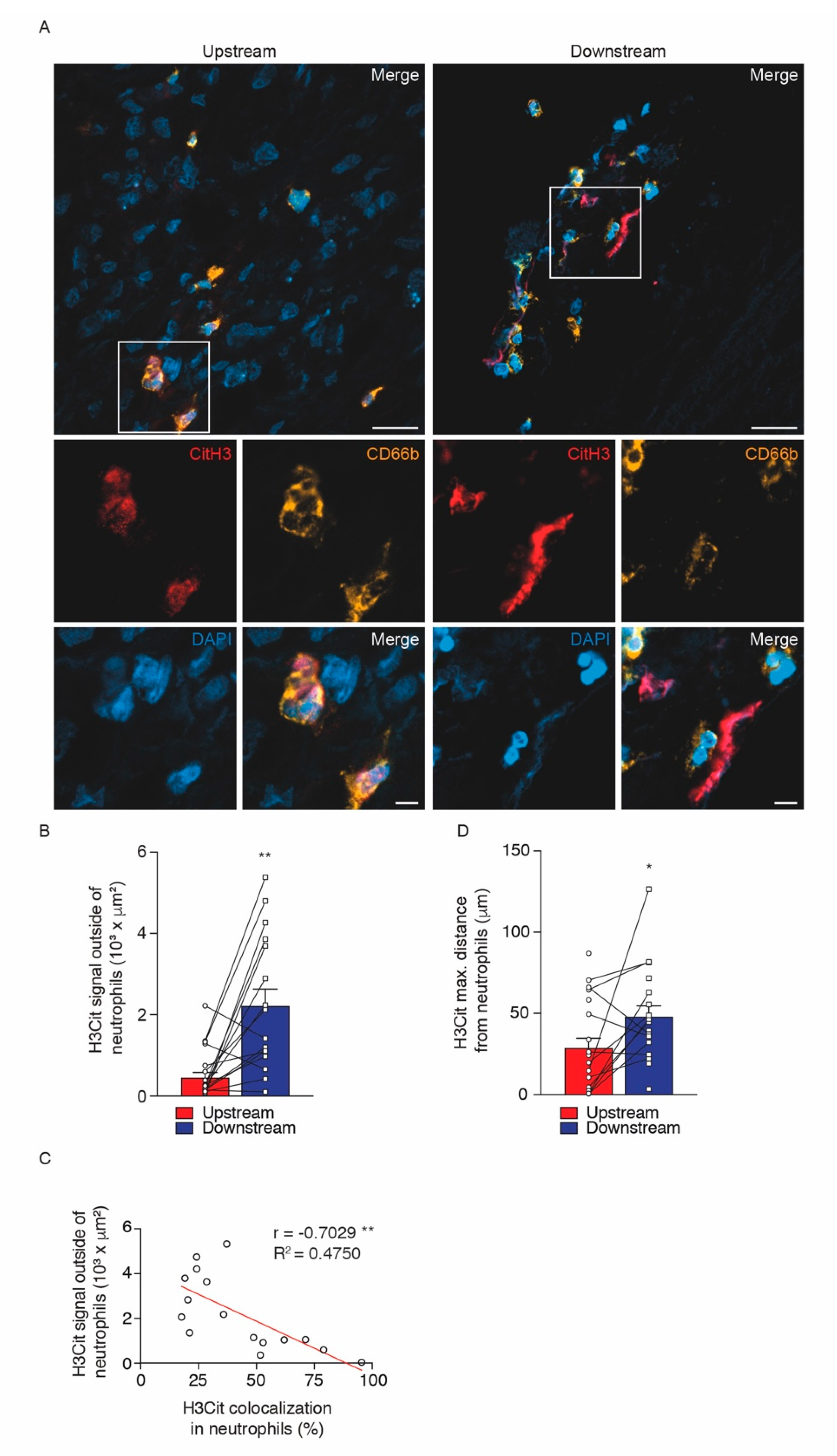 Ijms 21 07721 g004 Ijms 21 07721 g004