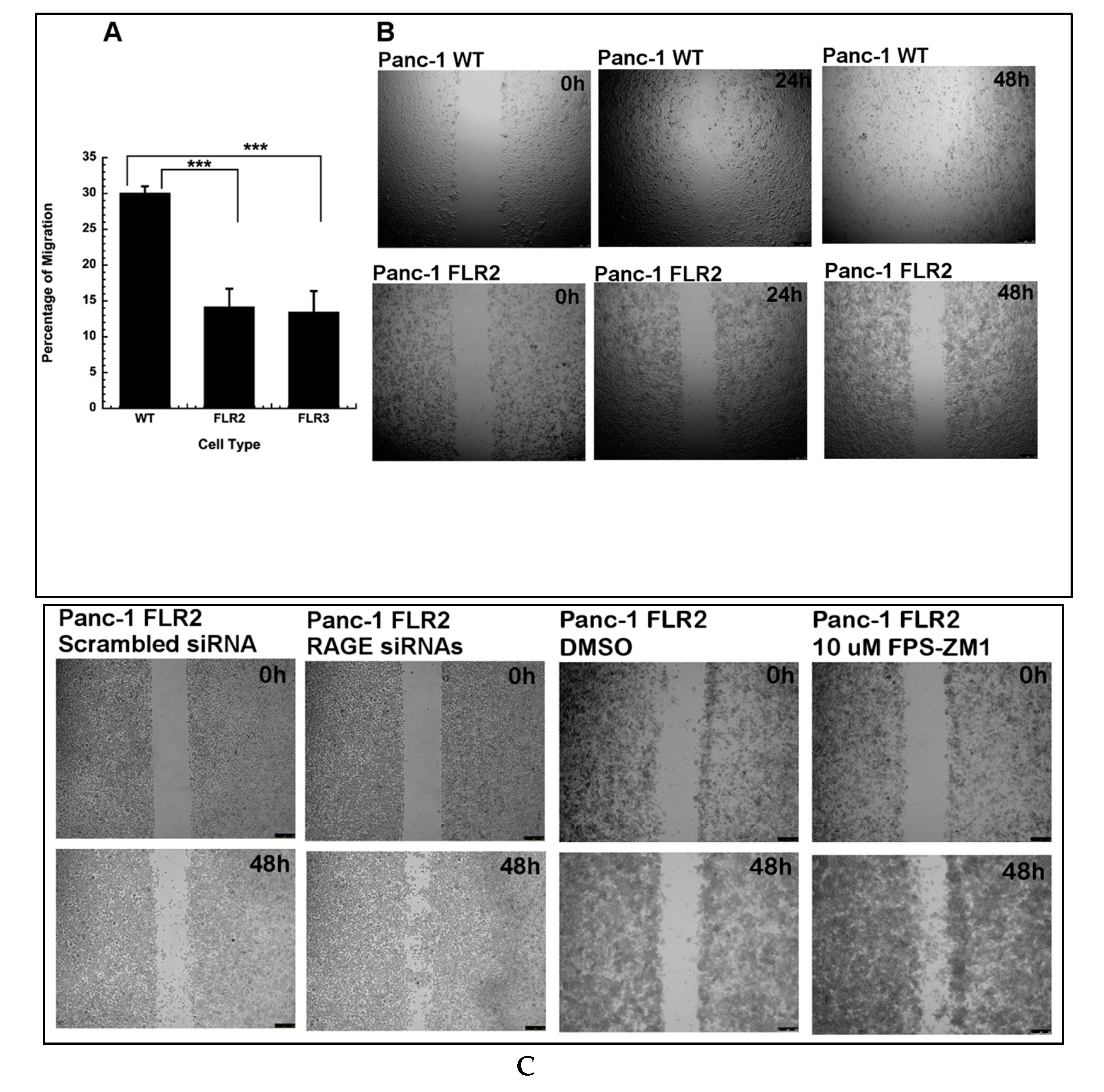 Ijms 21 07723 g002 Ijms 21 07723 g002