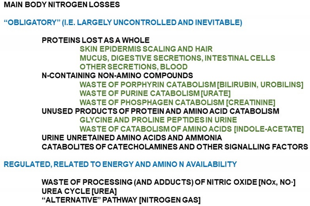 Ijms 21 07729 i001 Ijms 21 07729 i001