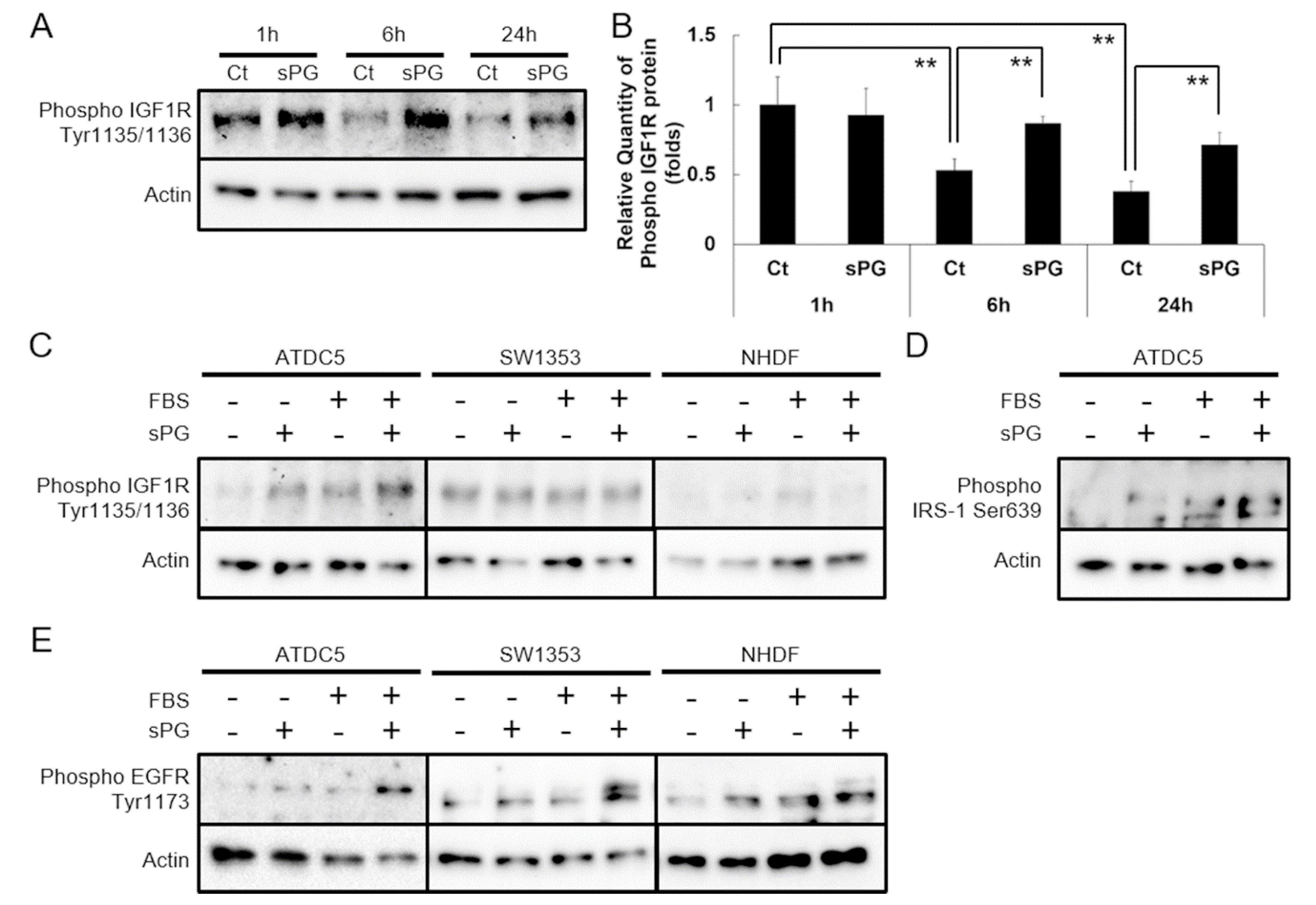 Ijms 21 07744 g002 Ijms 21 07744 g002