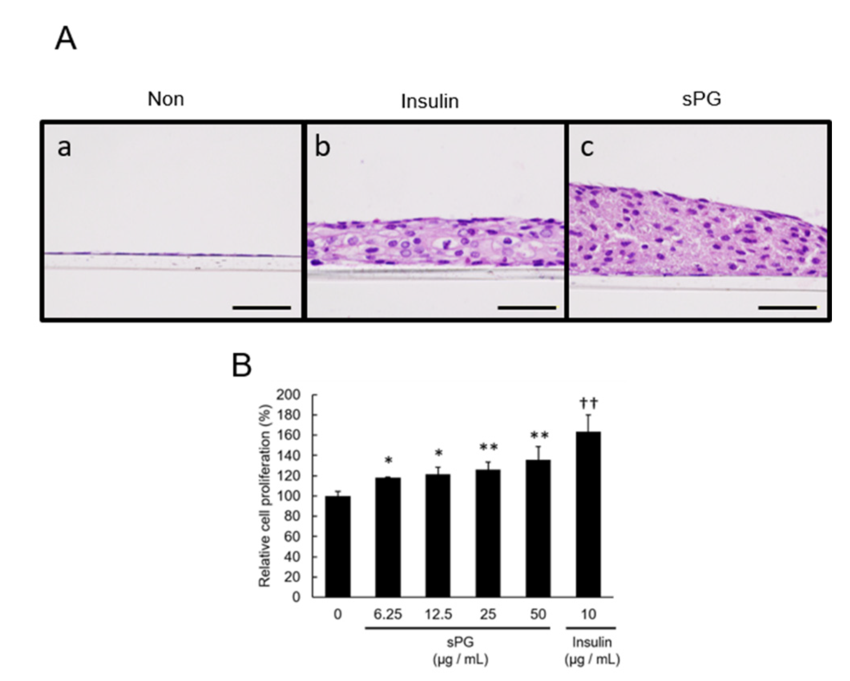 Ijms 21 07744 g004 Ijms 21 07744 g004