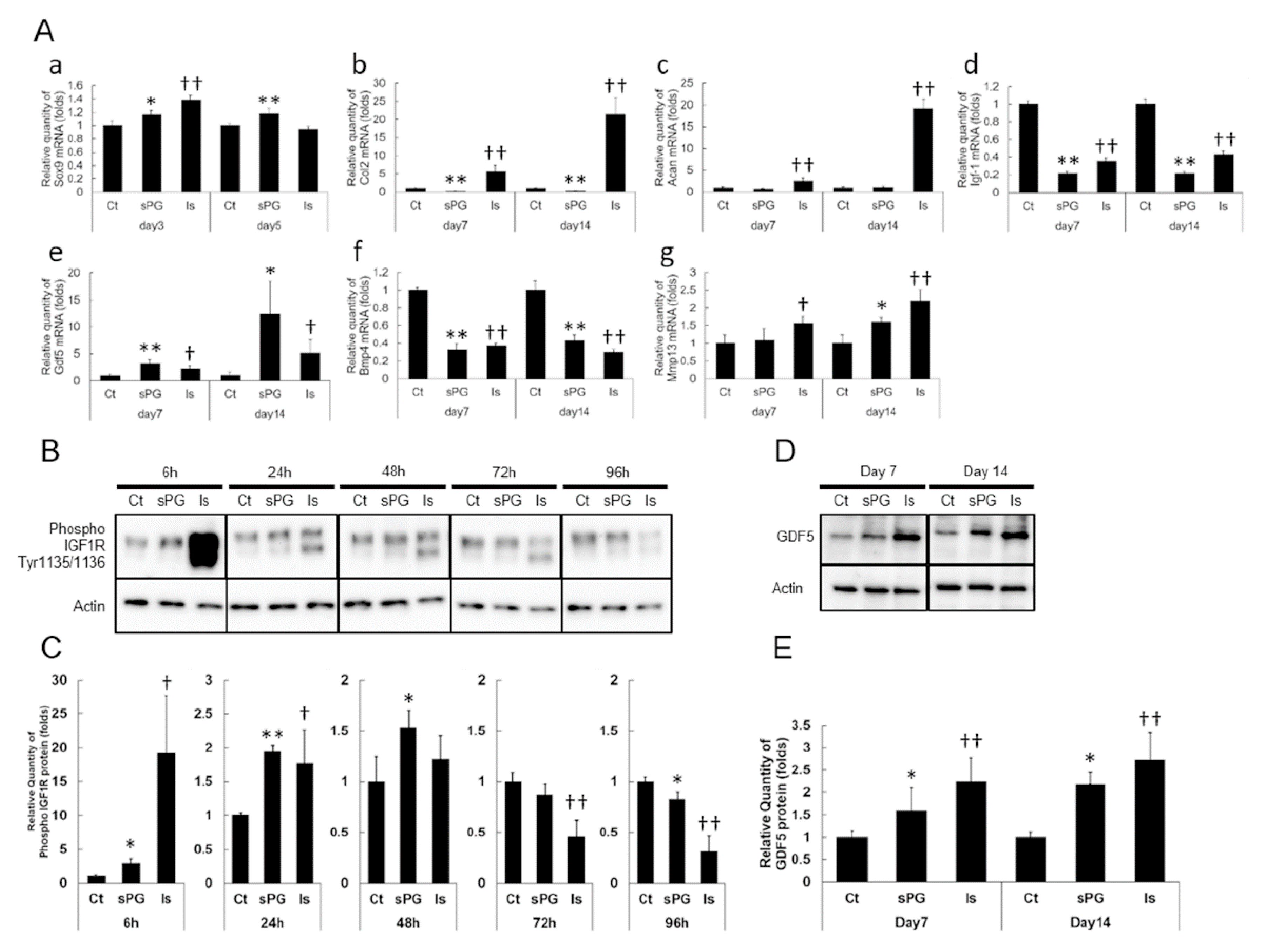 Ijms 21 07744 g005 Ijms 21 07744 g005