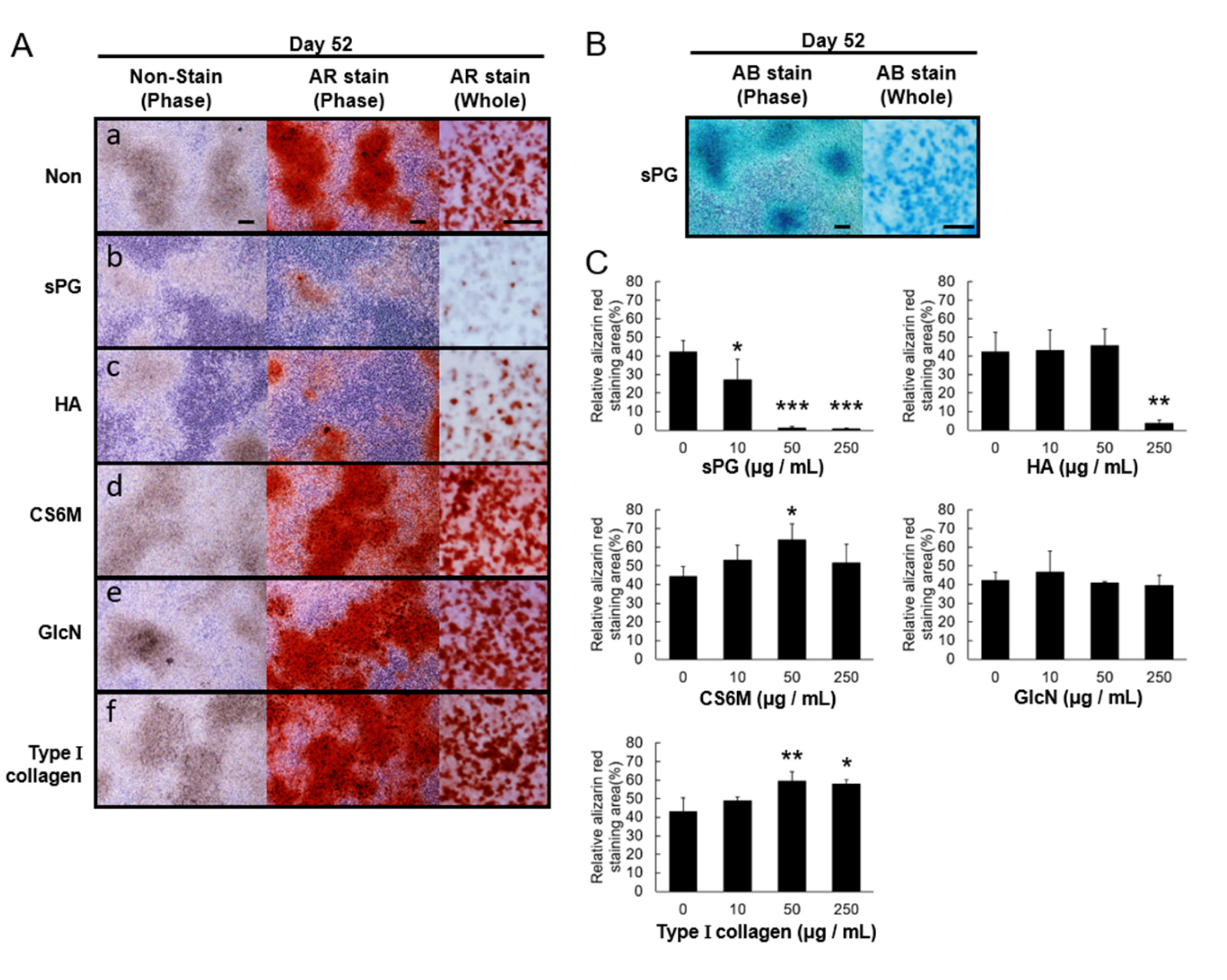 Ijms 21 07744 g006 Ijms 21 07744 g006