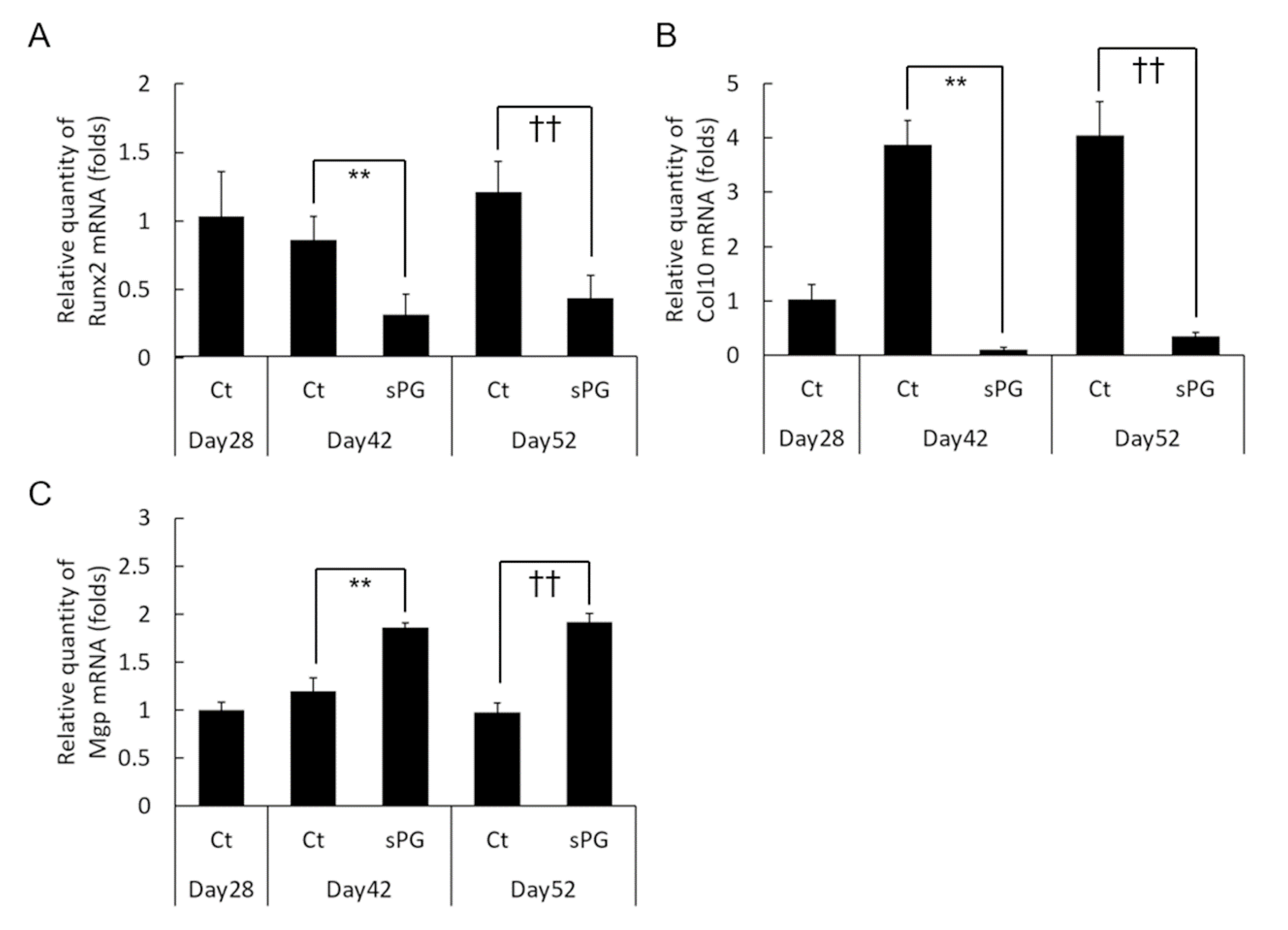 Ijms 21 07744 g007 Ijms 21 07744 g007
