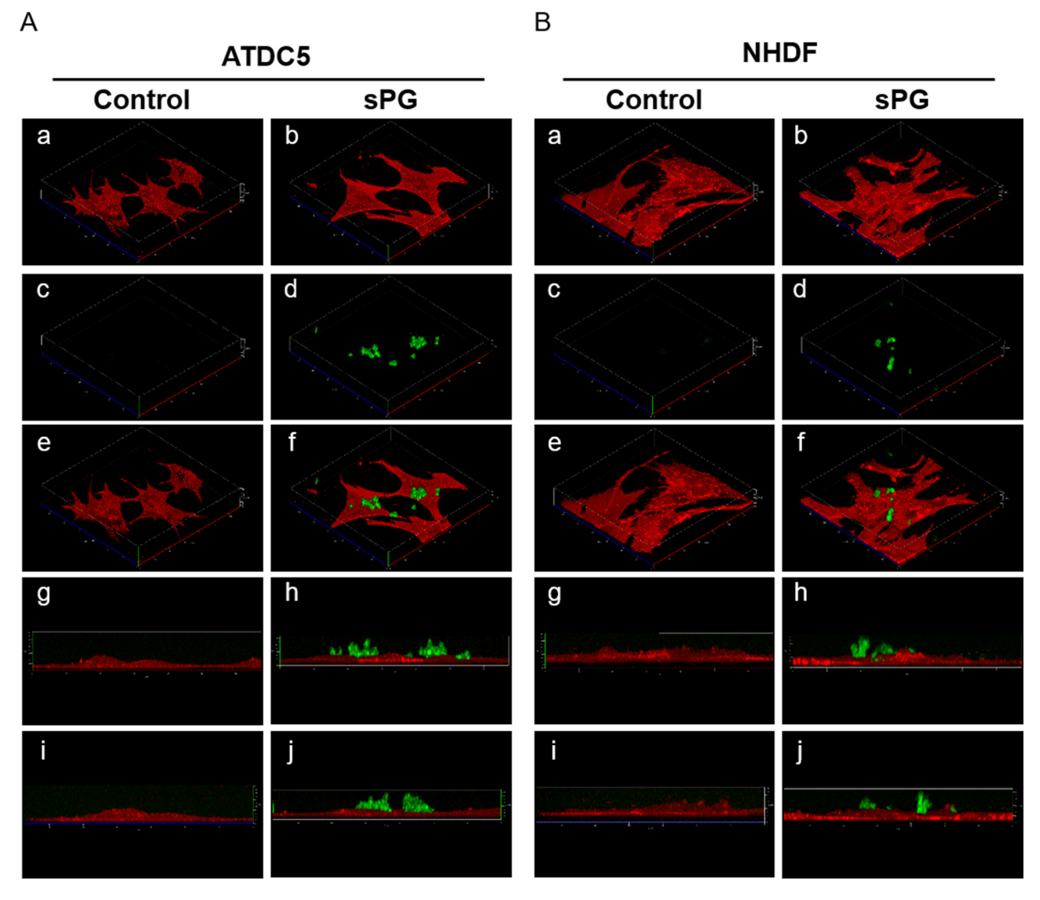 Ijms 21 07744 g009 Ijms 21 07744 g009
